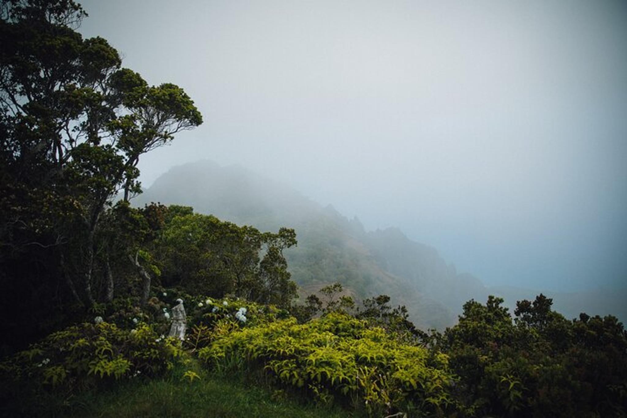 Kauai Waimea Canyon & Koke'e Day Trip from Oahu - Image 3