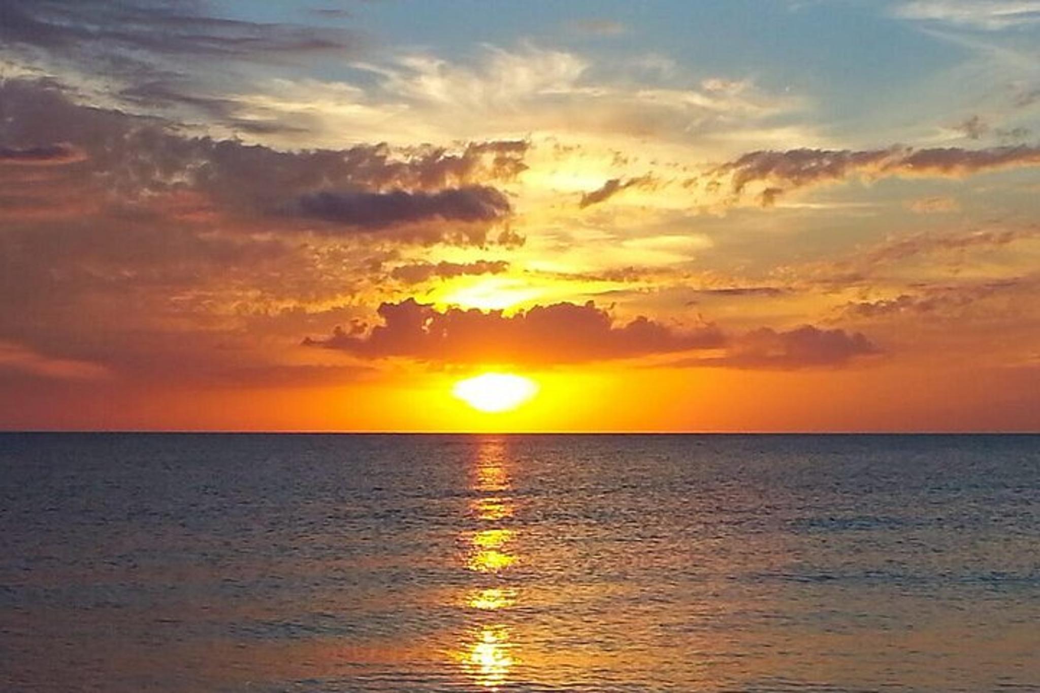 Sarasota Private Boat Tour with Sandbar Hopping - Image 4