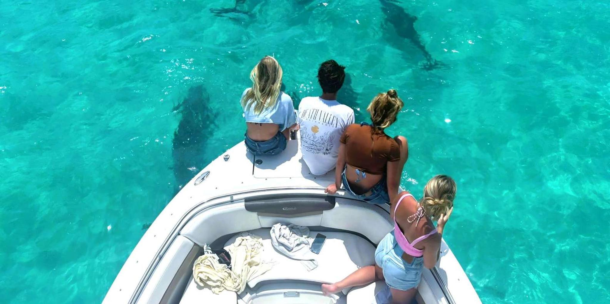 Key West Dolphin Watching and Snorkeling Tour - Image 3