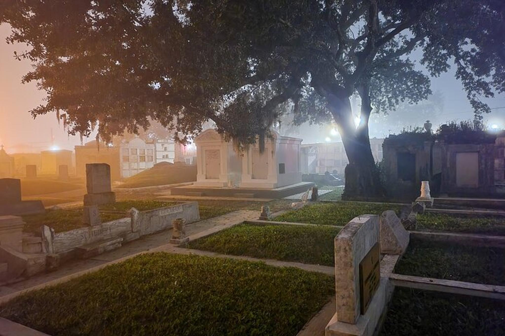 New Orleans Haunted City and Cemetery Bus Tour - Image 4