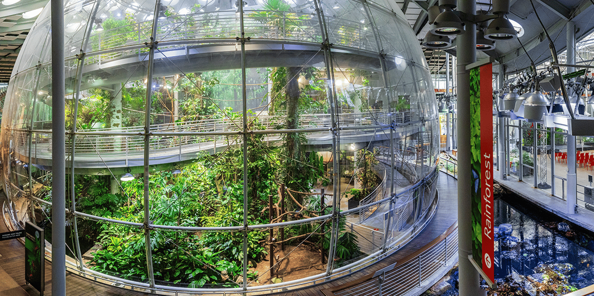 San Francisco California Academy of Sciences Entry Ticket - Image 5