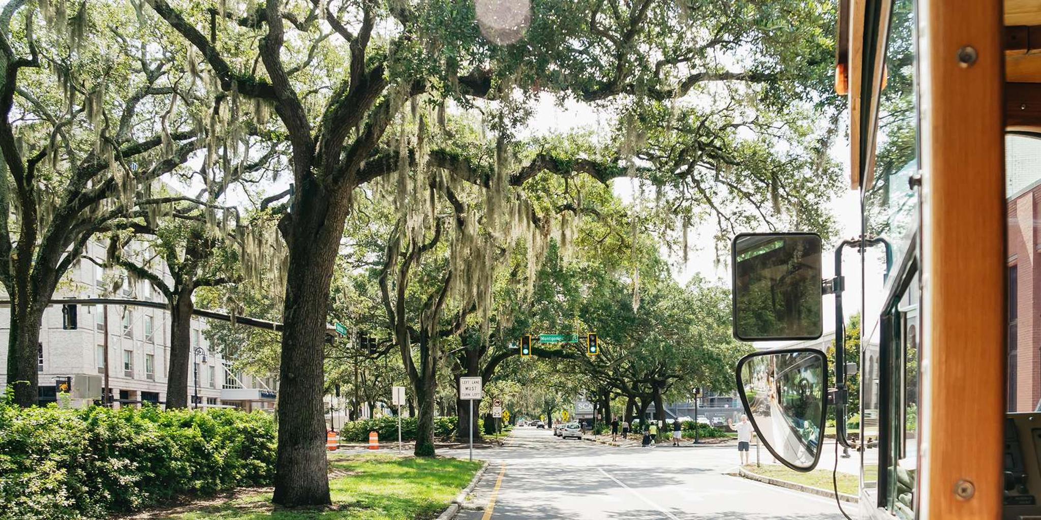 Savannah History Walking Tour - Image 5