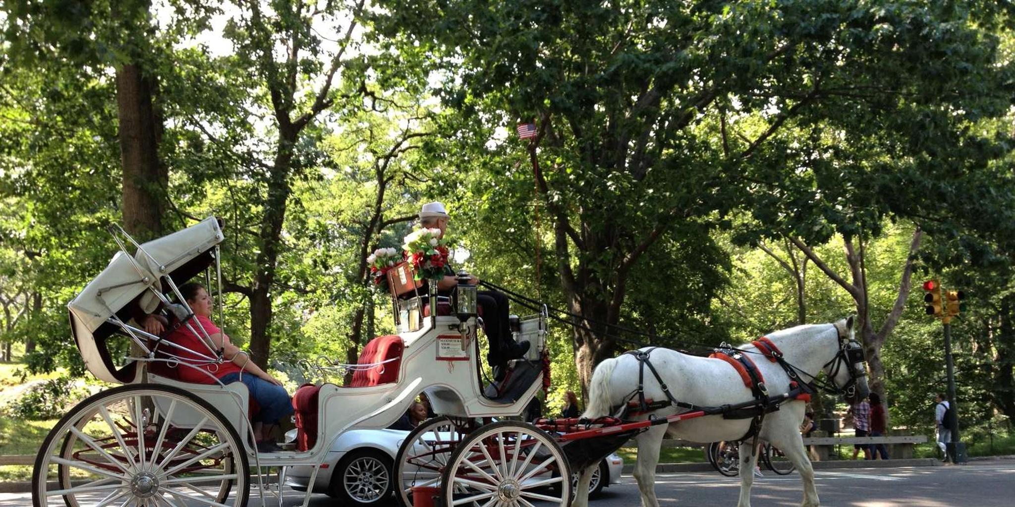New York Central Park Carriage Ride - Image 4