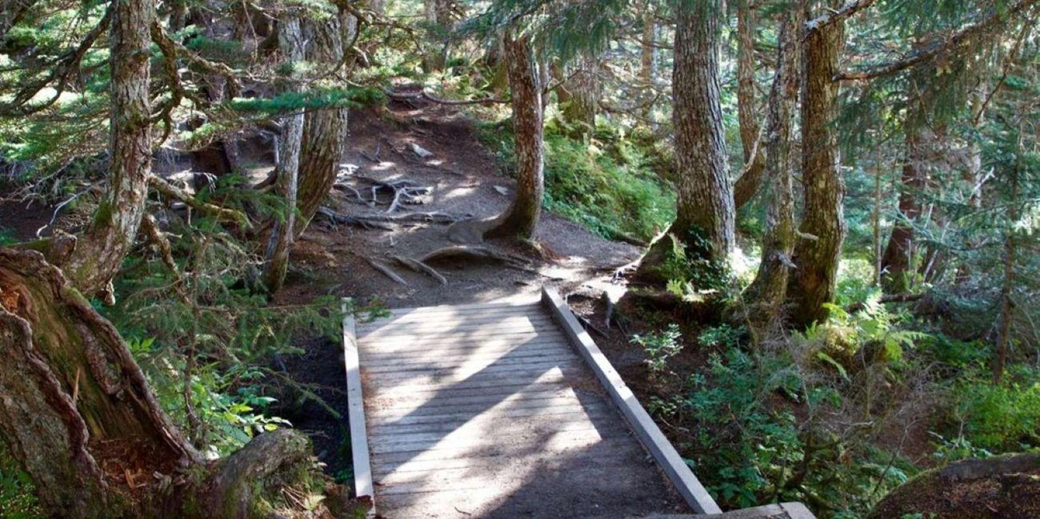 Juneau Tram, Trails and Ale Tour - Image 4