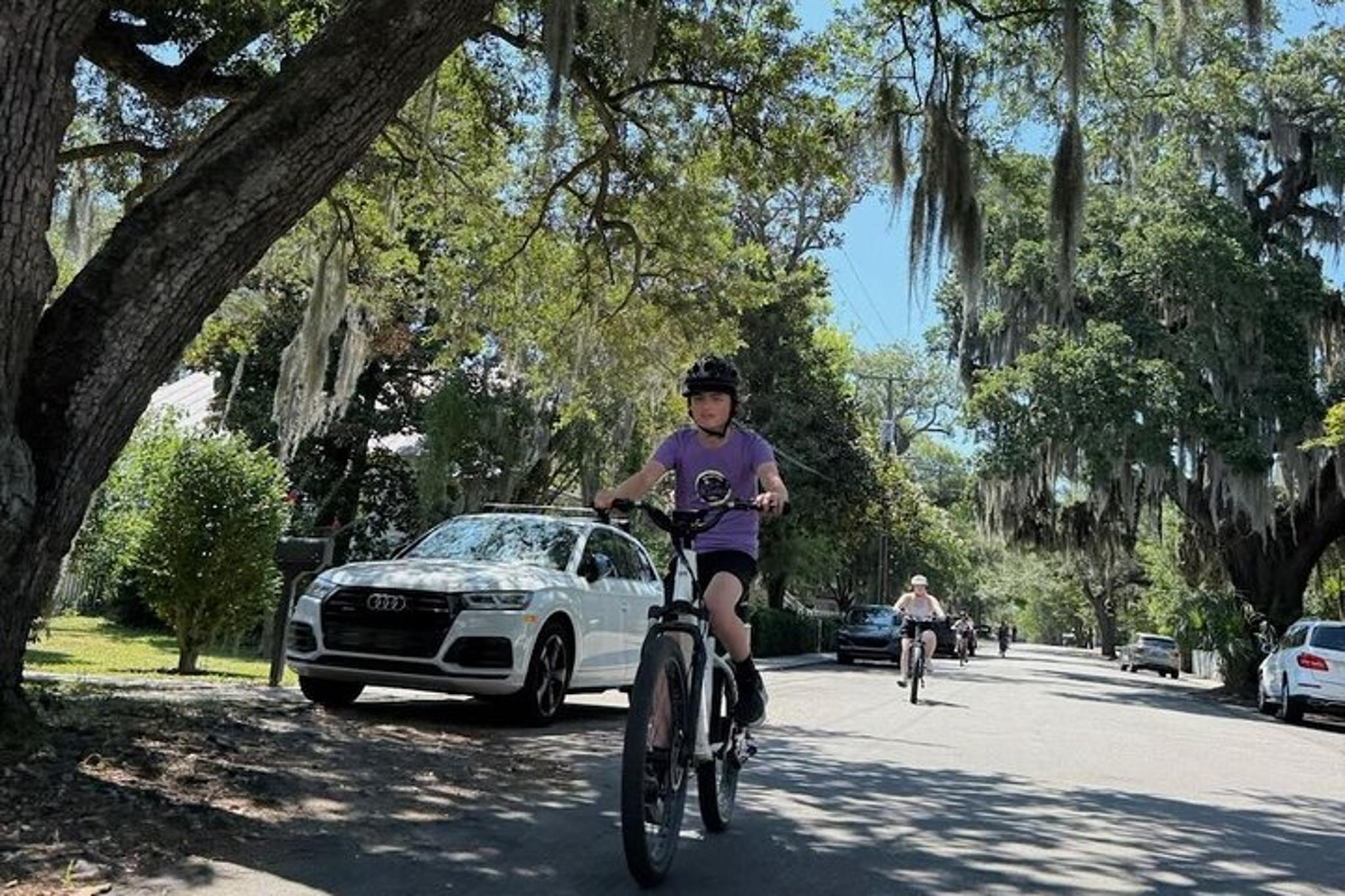 Charleston Harbor E-Bike Tour with Milkshake Stop - Image 6