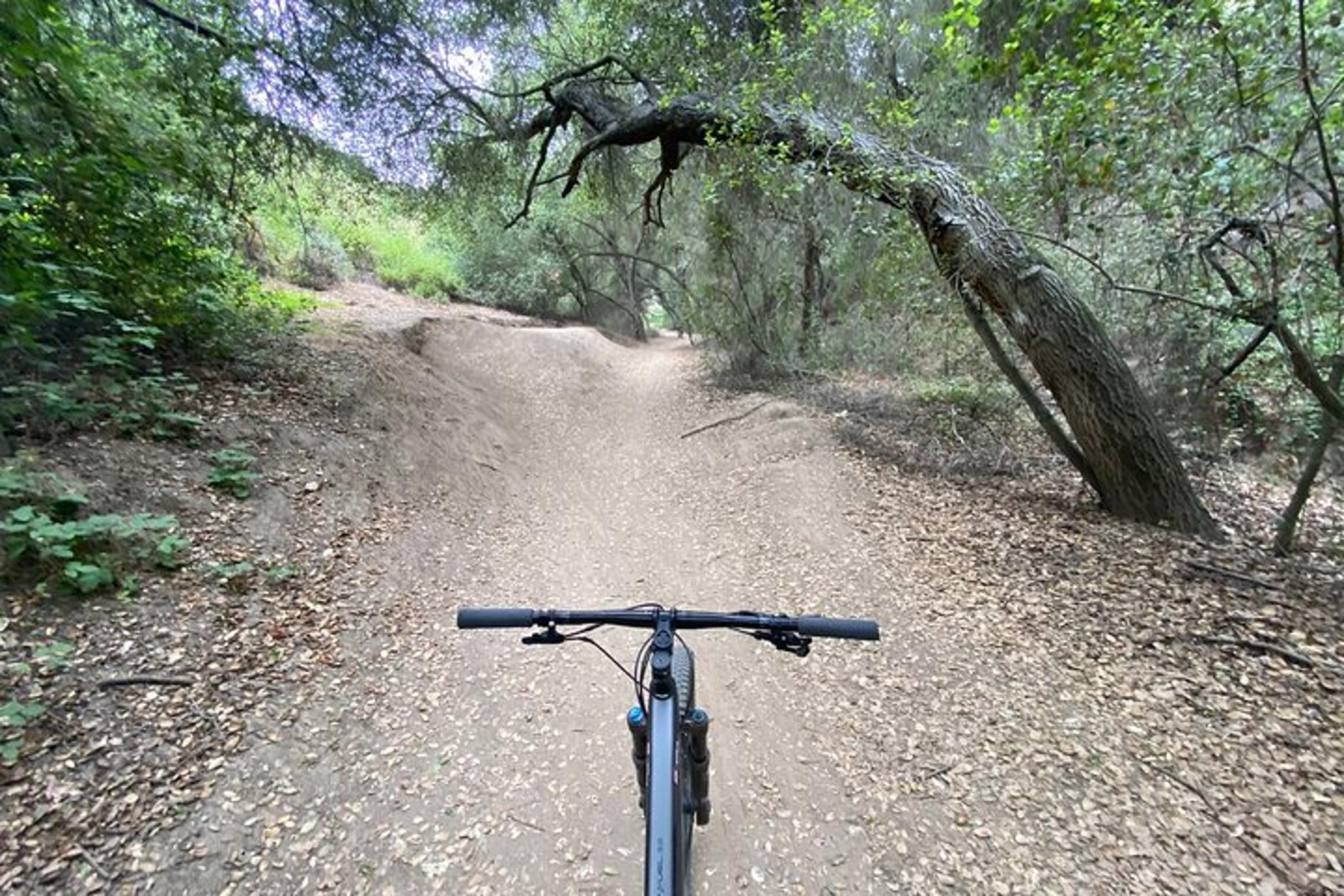 San Diego Mountain Biking Adventure - Image 5