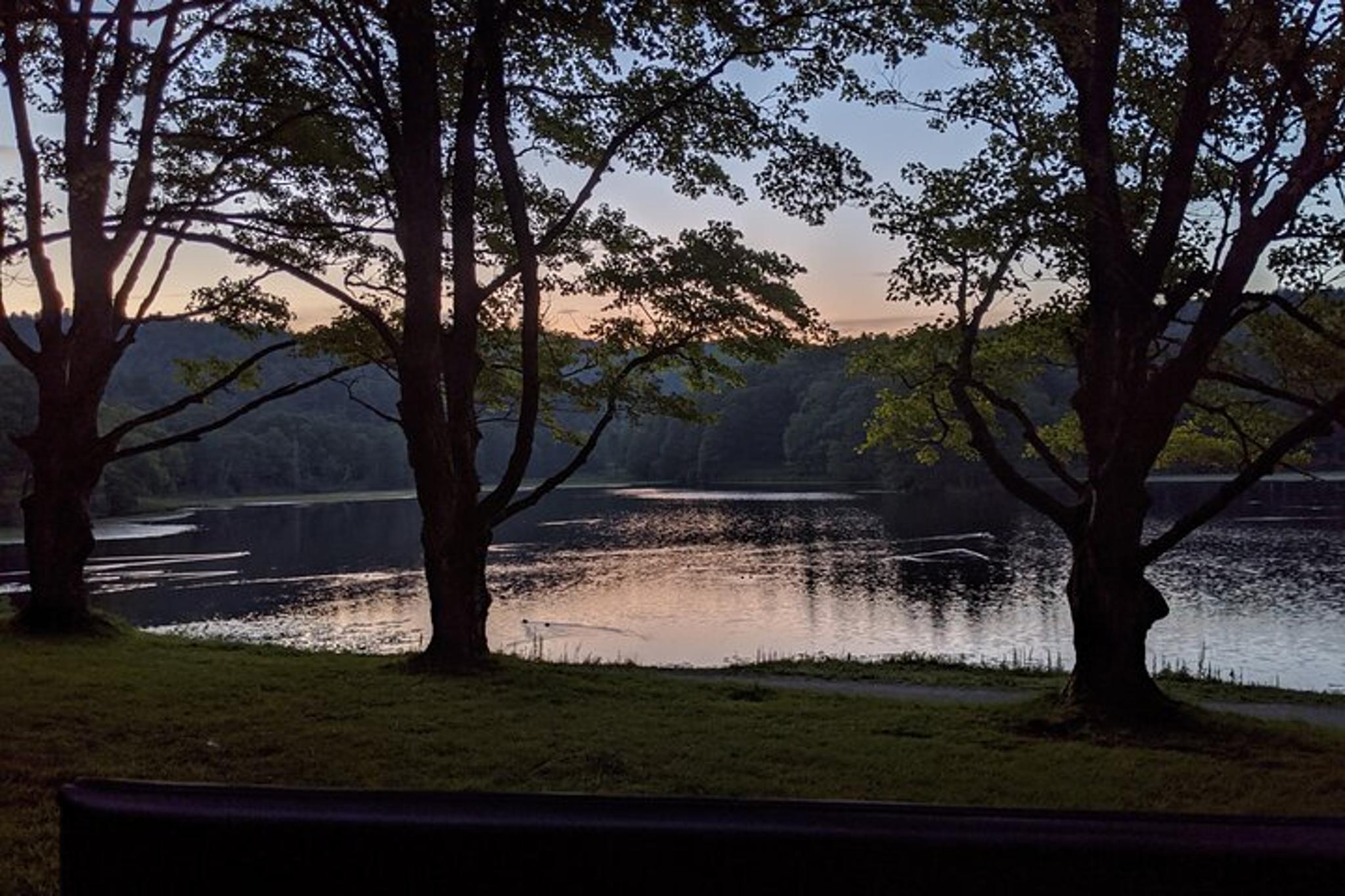 Blowing Rock Horse and Carriage Ride