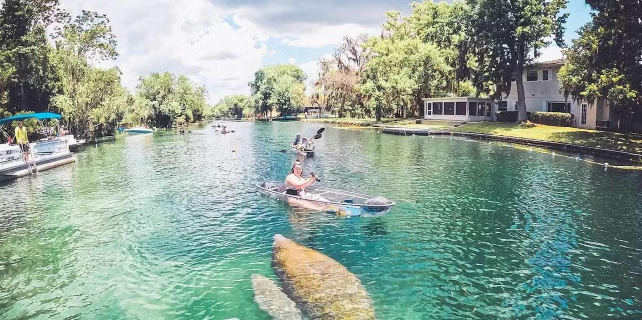 Crystal River Clear Kayak and Manatee Tour