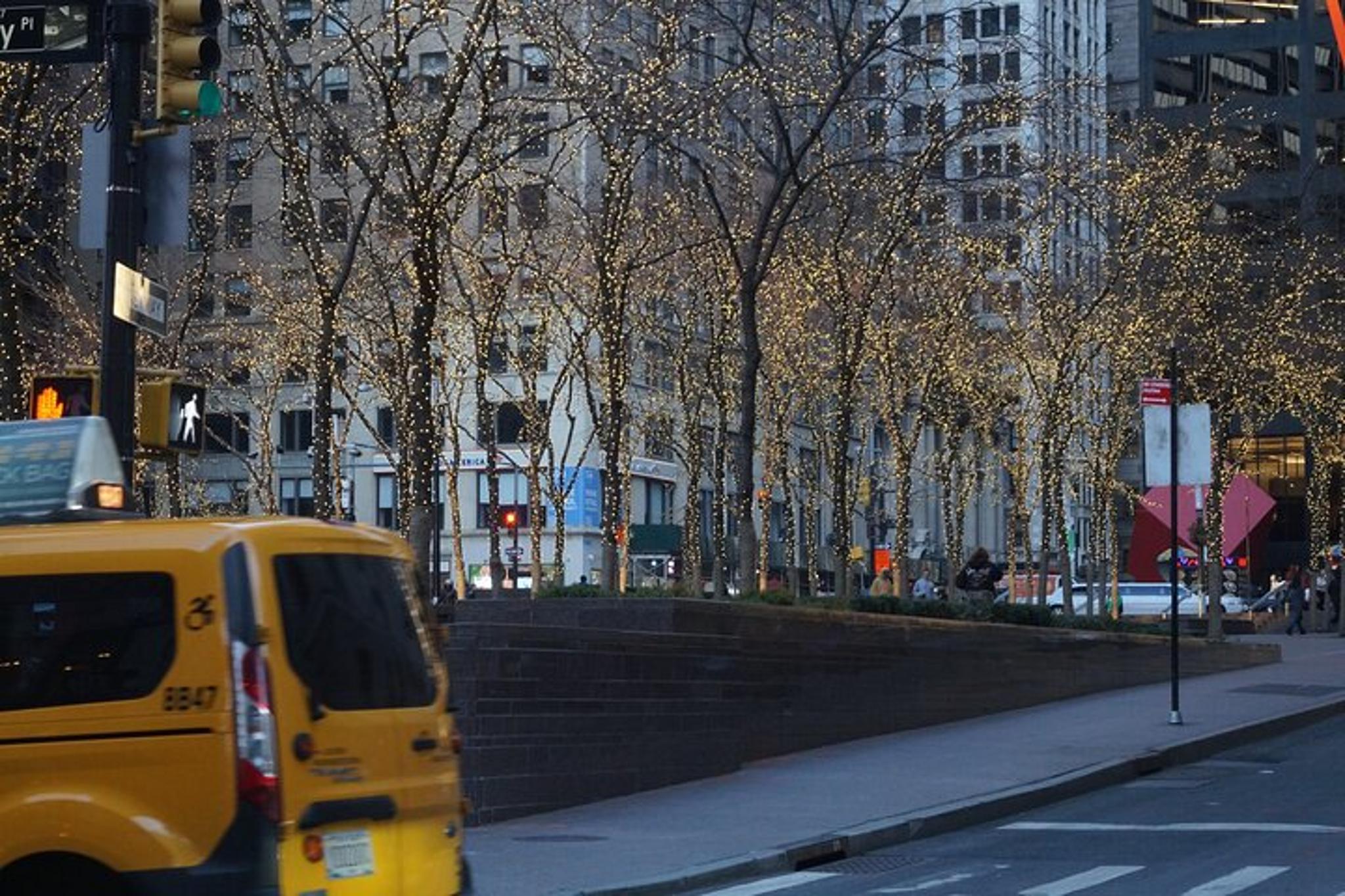 New York Downtown Highlights Tour - Image 4