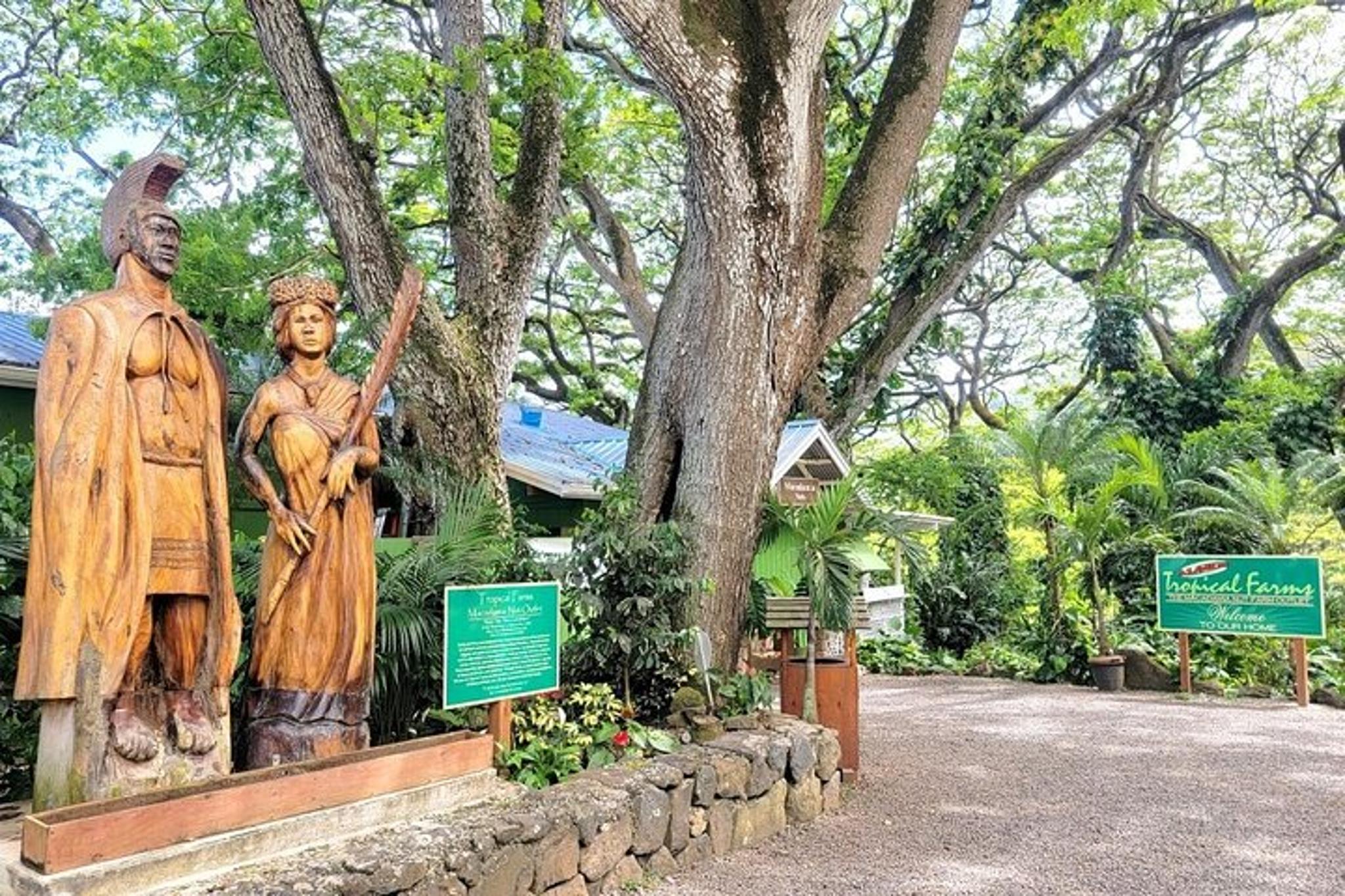 Oahu Island Sightseeing and Food Tour - Image 4