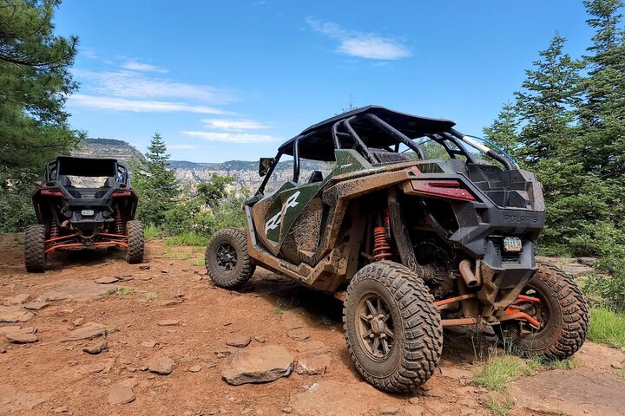 Flagstaff UTV Adventure in Northern Arizona - Image 4