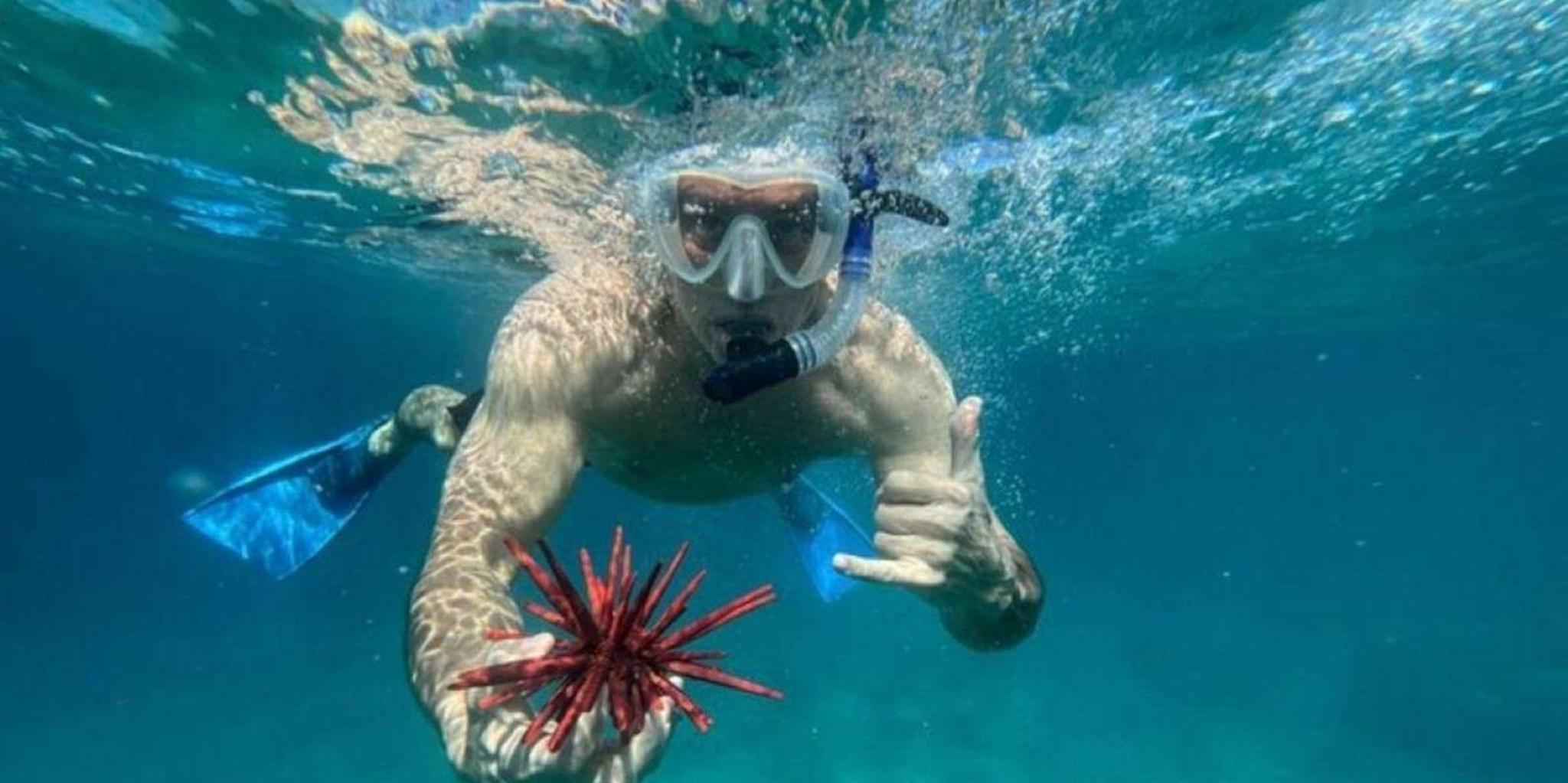Maui Snorkel and Surf Adventure