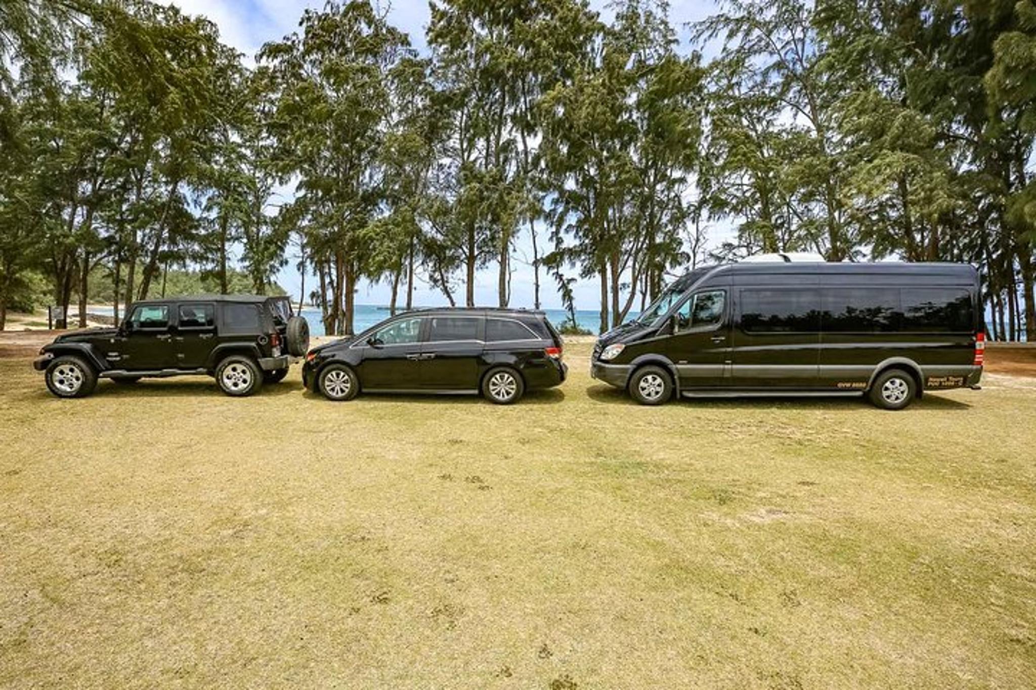 Oahu Private Tour with USS Arizona Memorial - Image 4