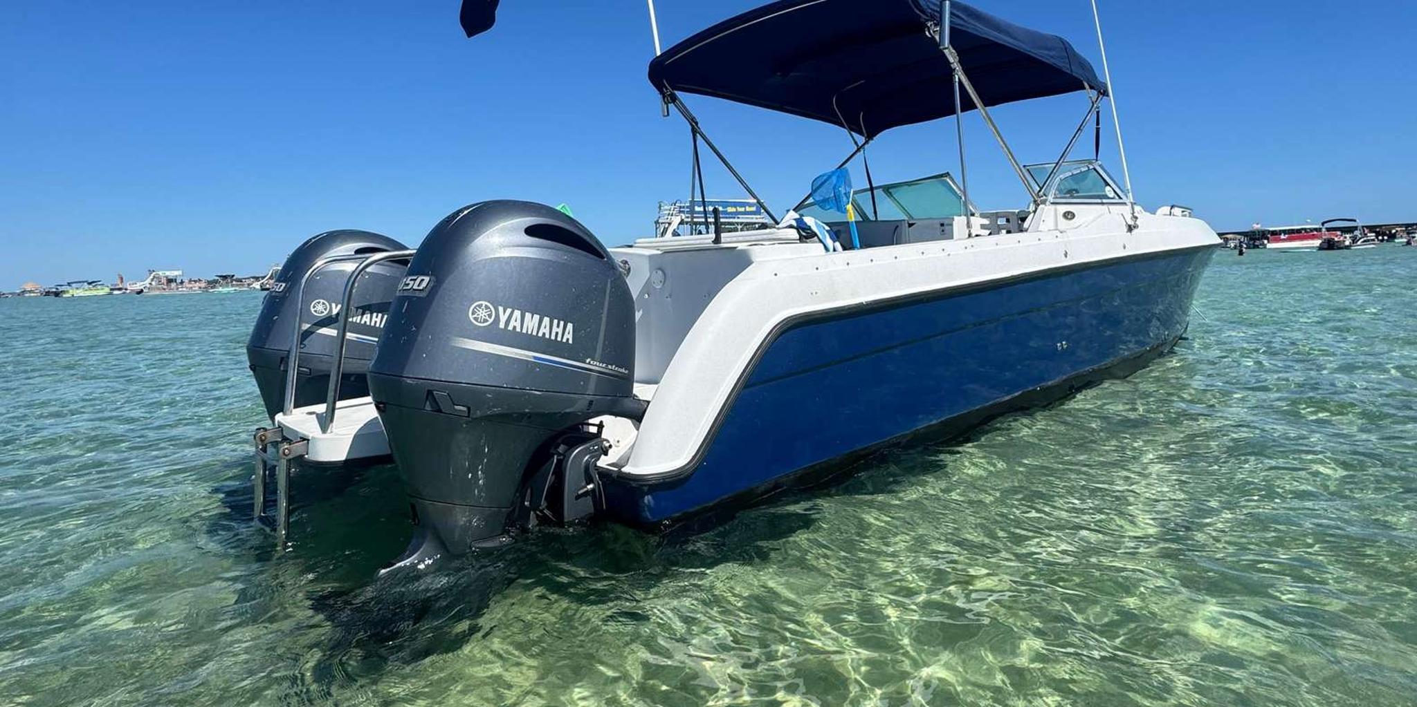 Destin Snorkeling and Dolphin Cruise