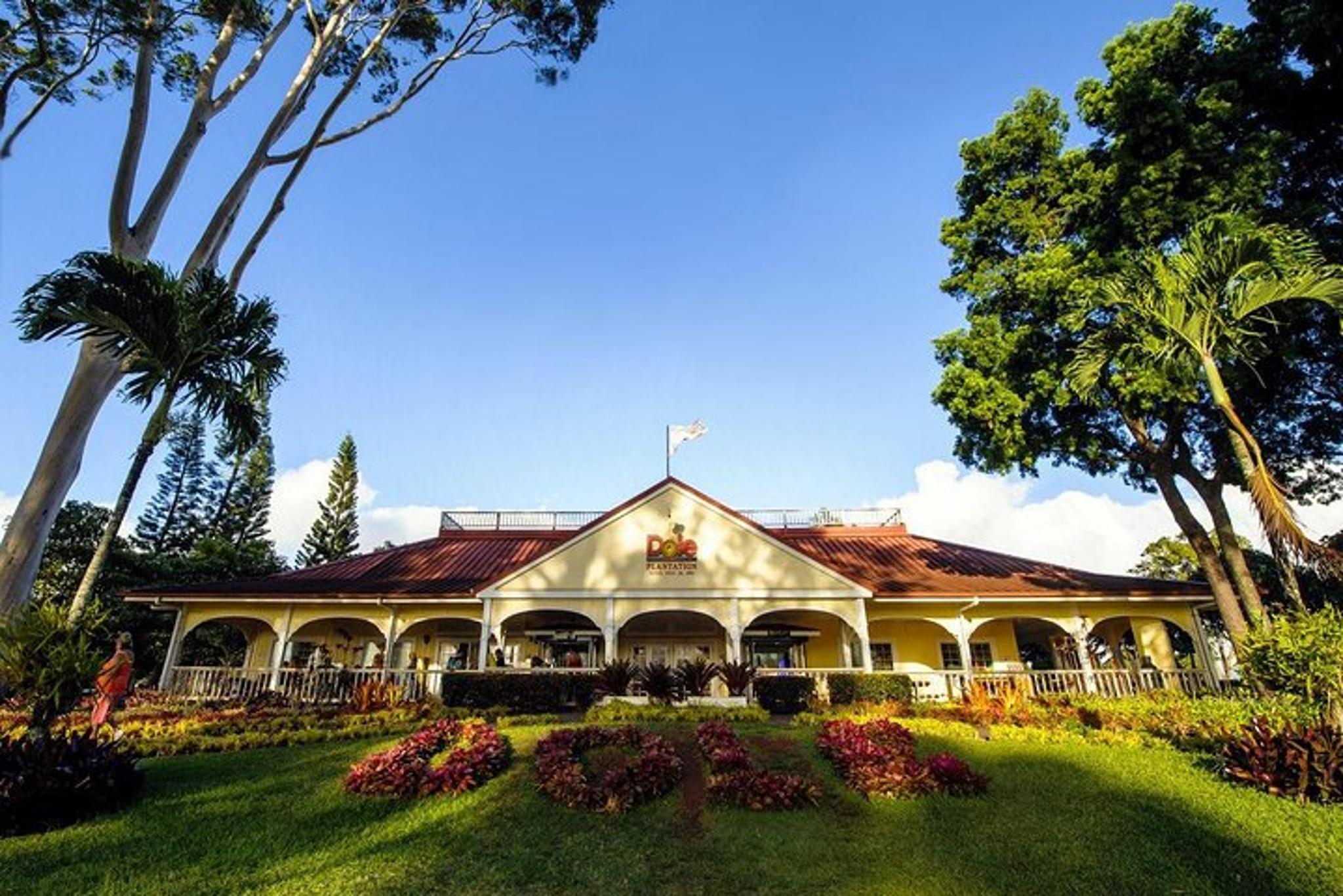 Oahu Island Sightseeing Tour - Image 3