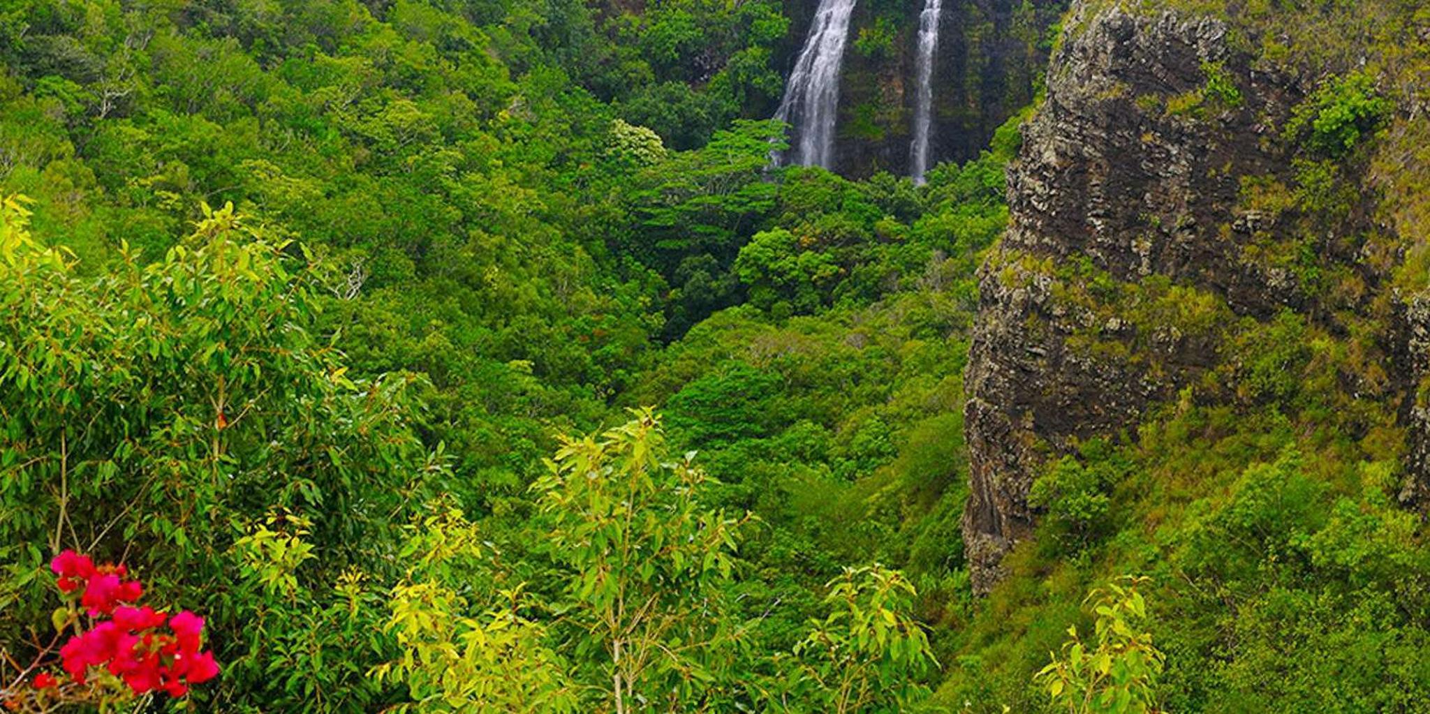 Kauai Highlights and Movie Sites Tour - Image 2