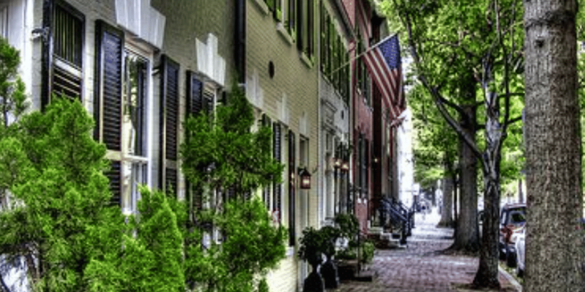 Washington DC Mount Vernon & Old Town Alexandria Tour - Image 5