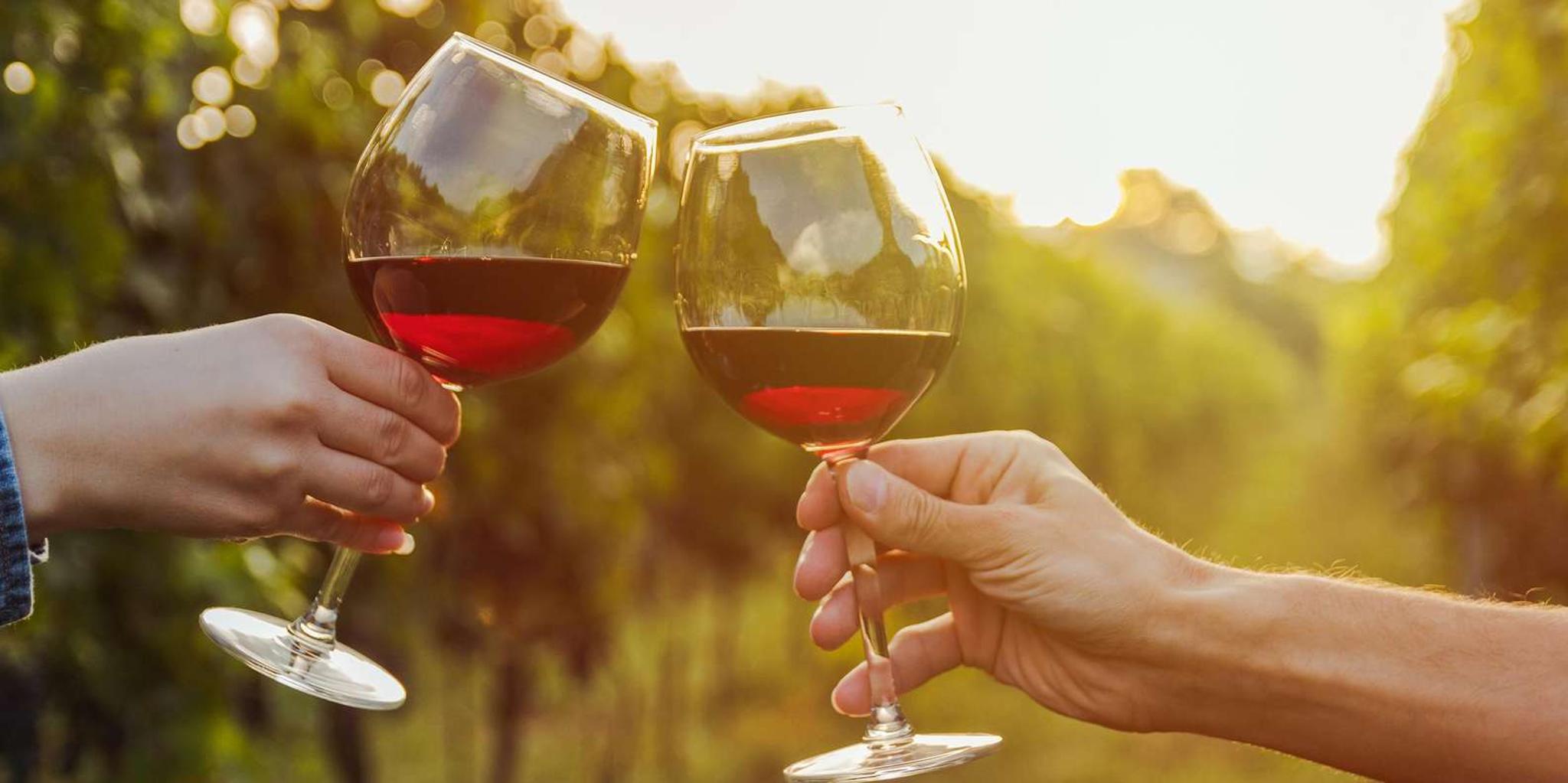 Tucson Wine Tour in Elgin 6 hr