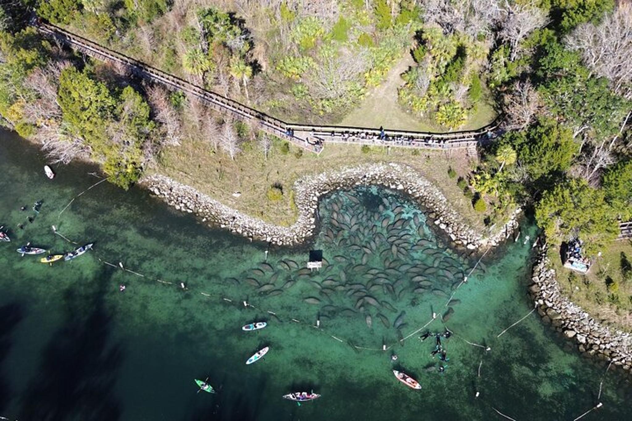 Kings Bay Eco Tour - Image 4