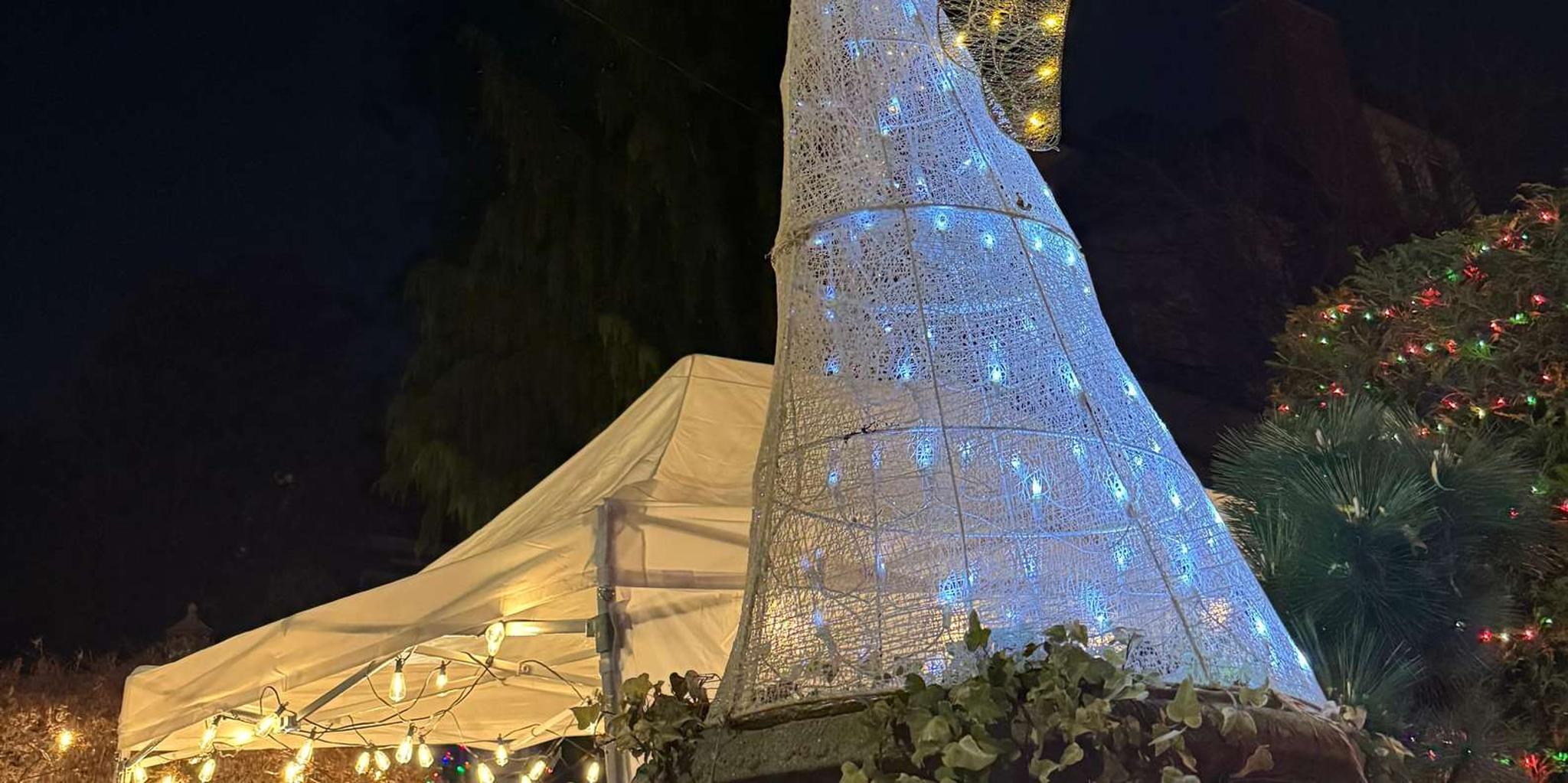 New York City Christmas Lights Bus Tour - Image 4