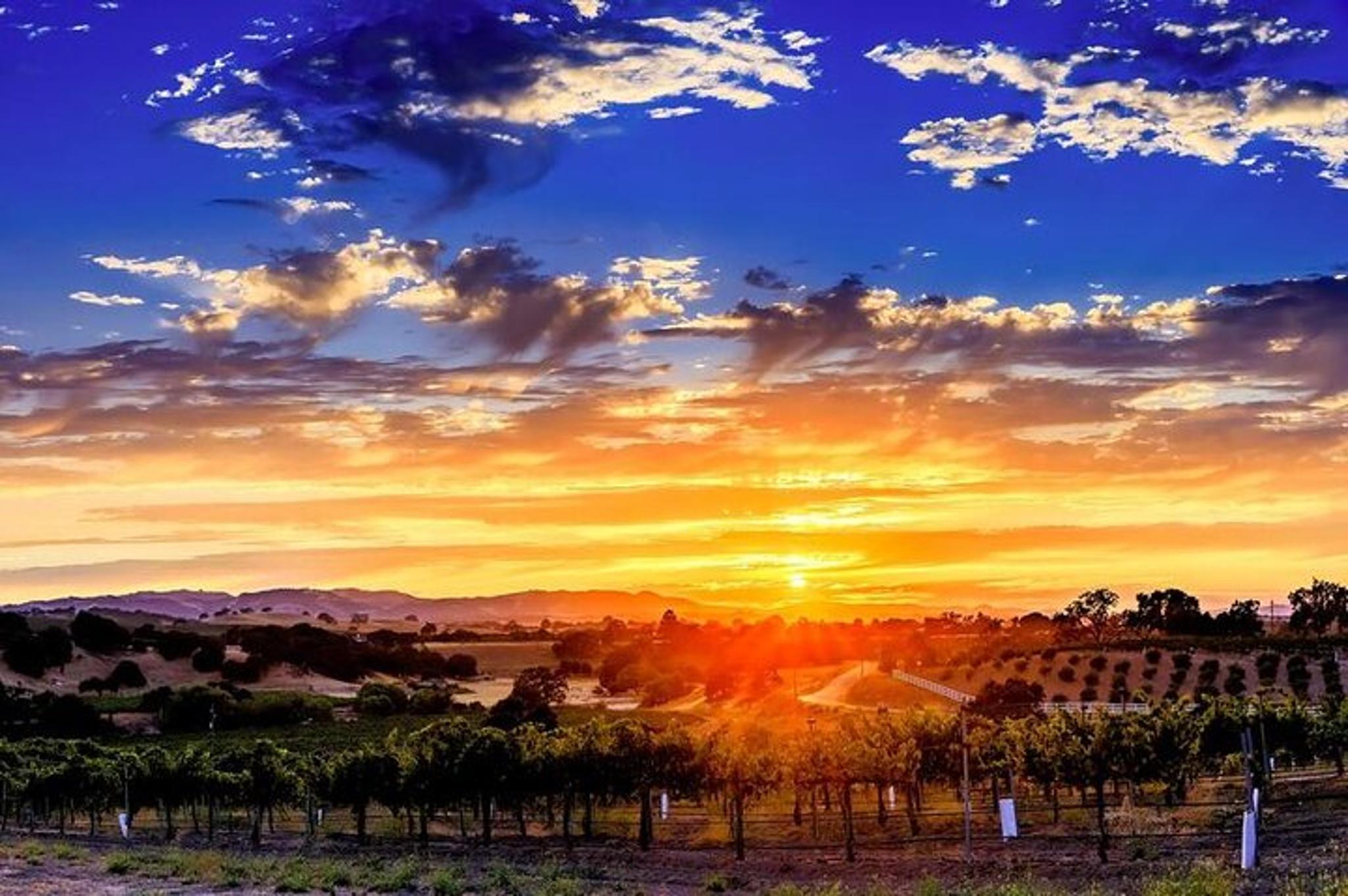 Paso Robles Private Flight Experience - Image 4