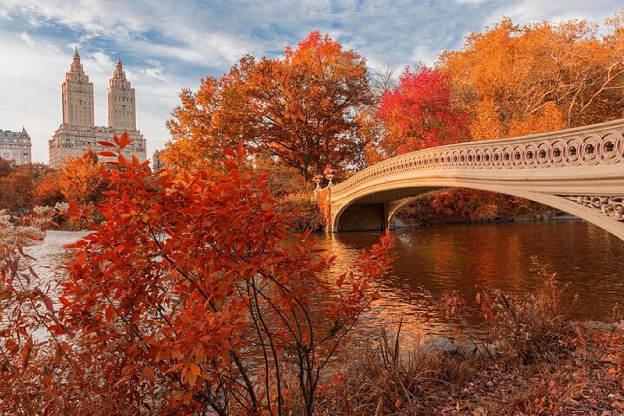 New York Central Park Scavenger Hunt - Image 5