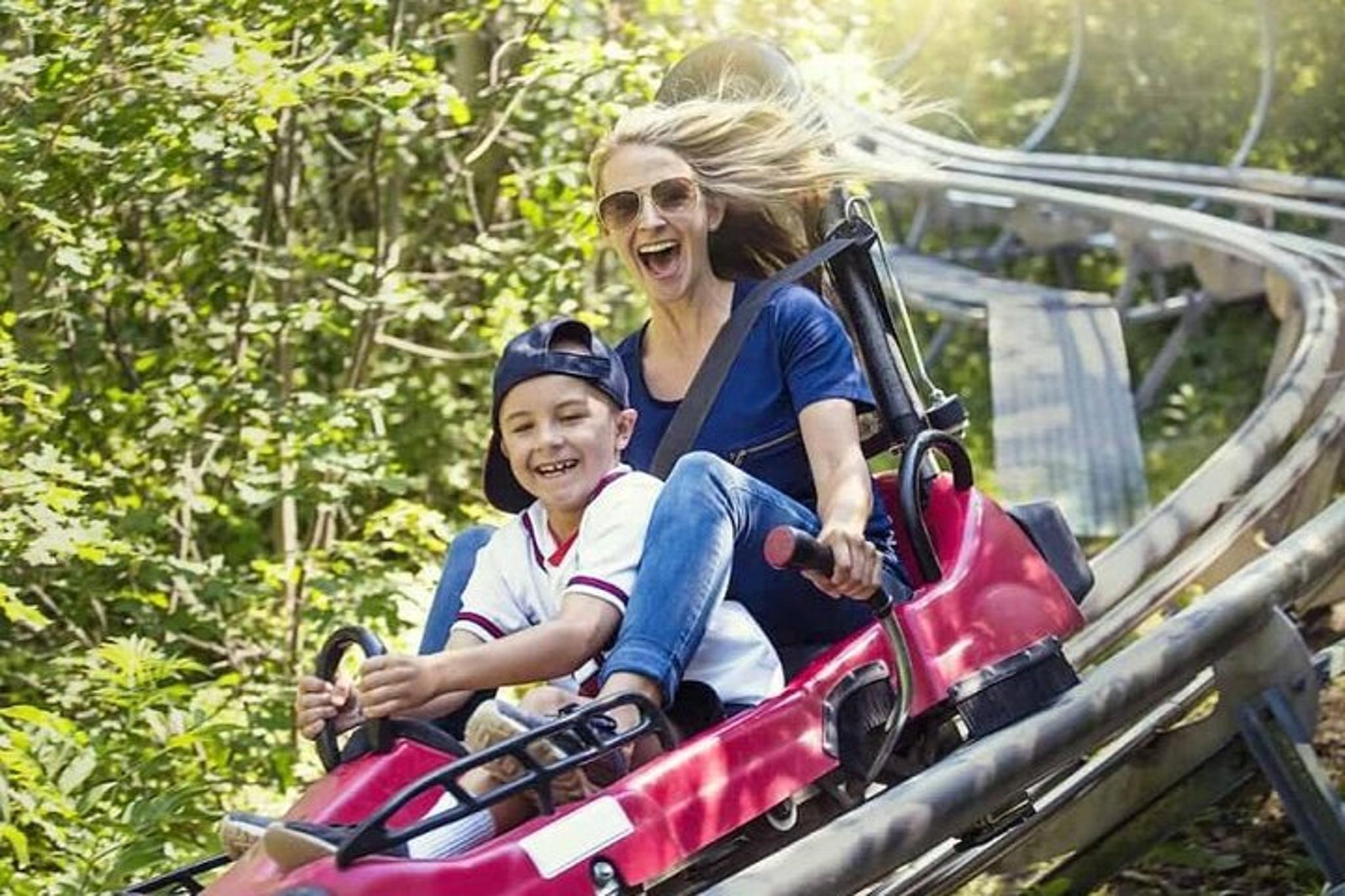 Branson Mountain Coaster - Image 2