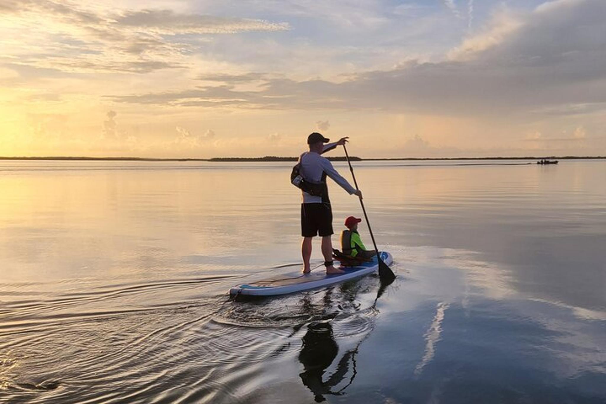 Oak Hill Bioluminescence Paddle Tour - Image 4