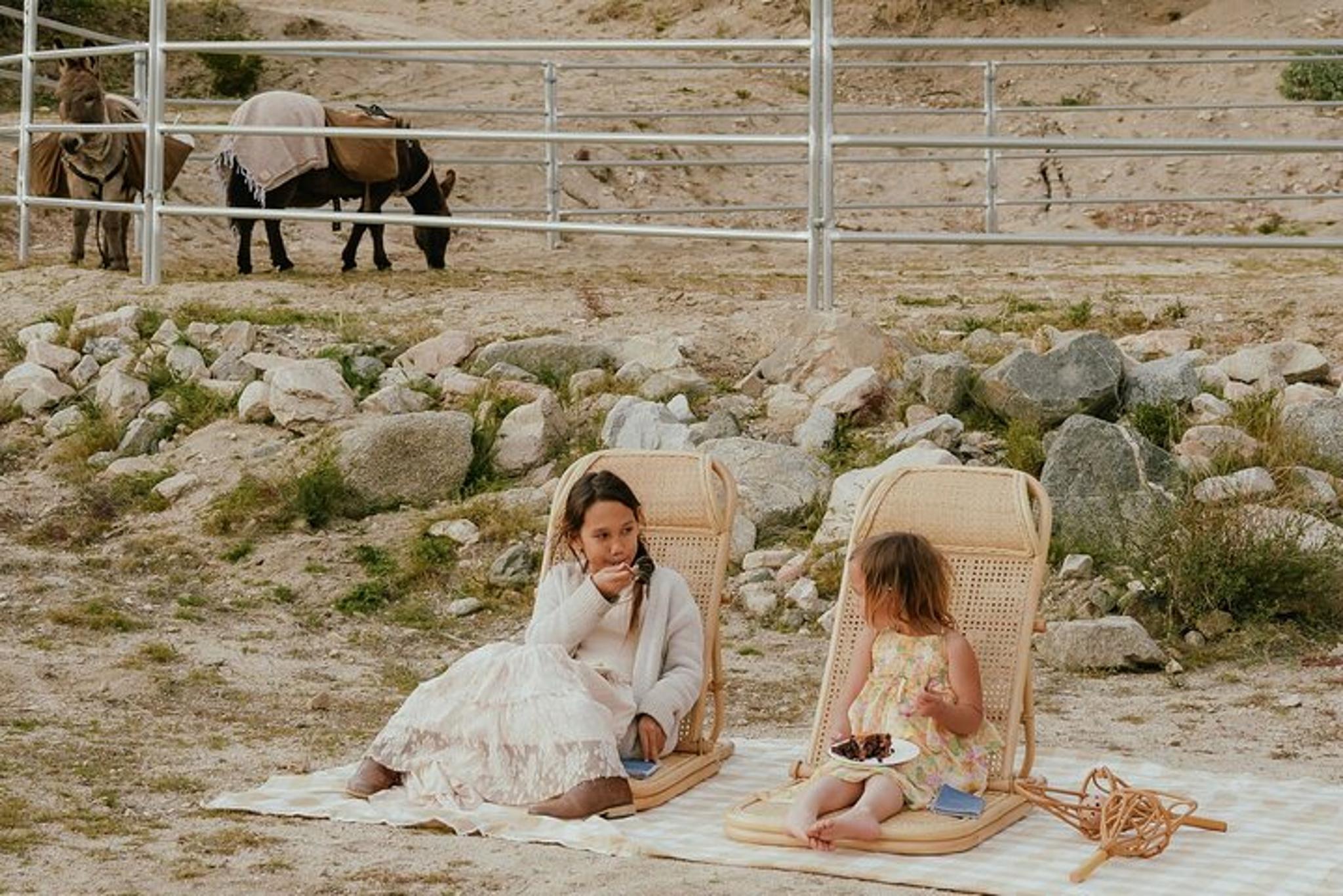 Southern California Brunch with Mini Rescue Burros - Image 4