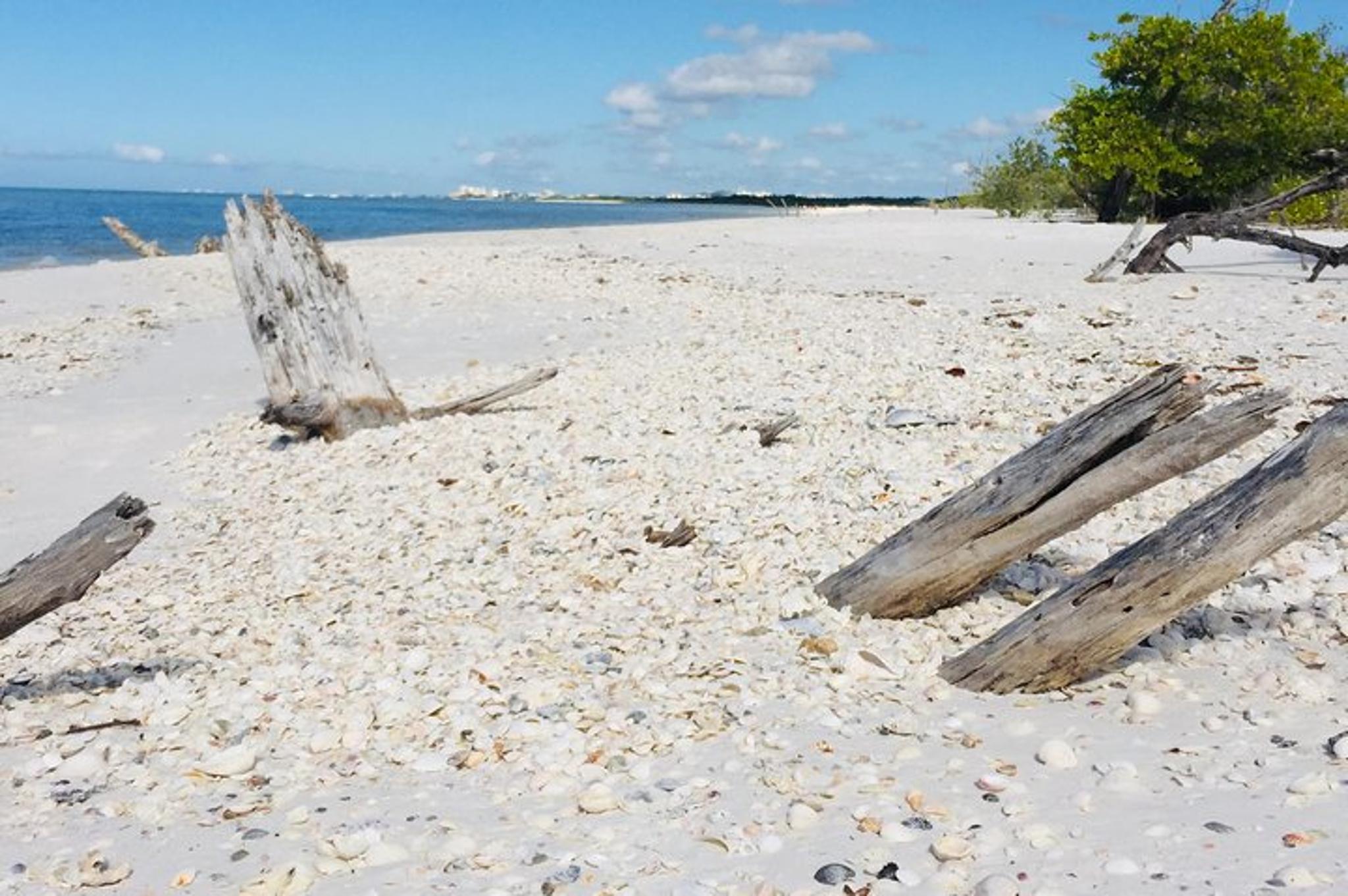 Fort Myers Beach Shelling Tour - Image 5