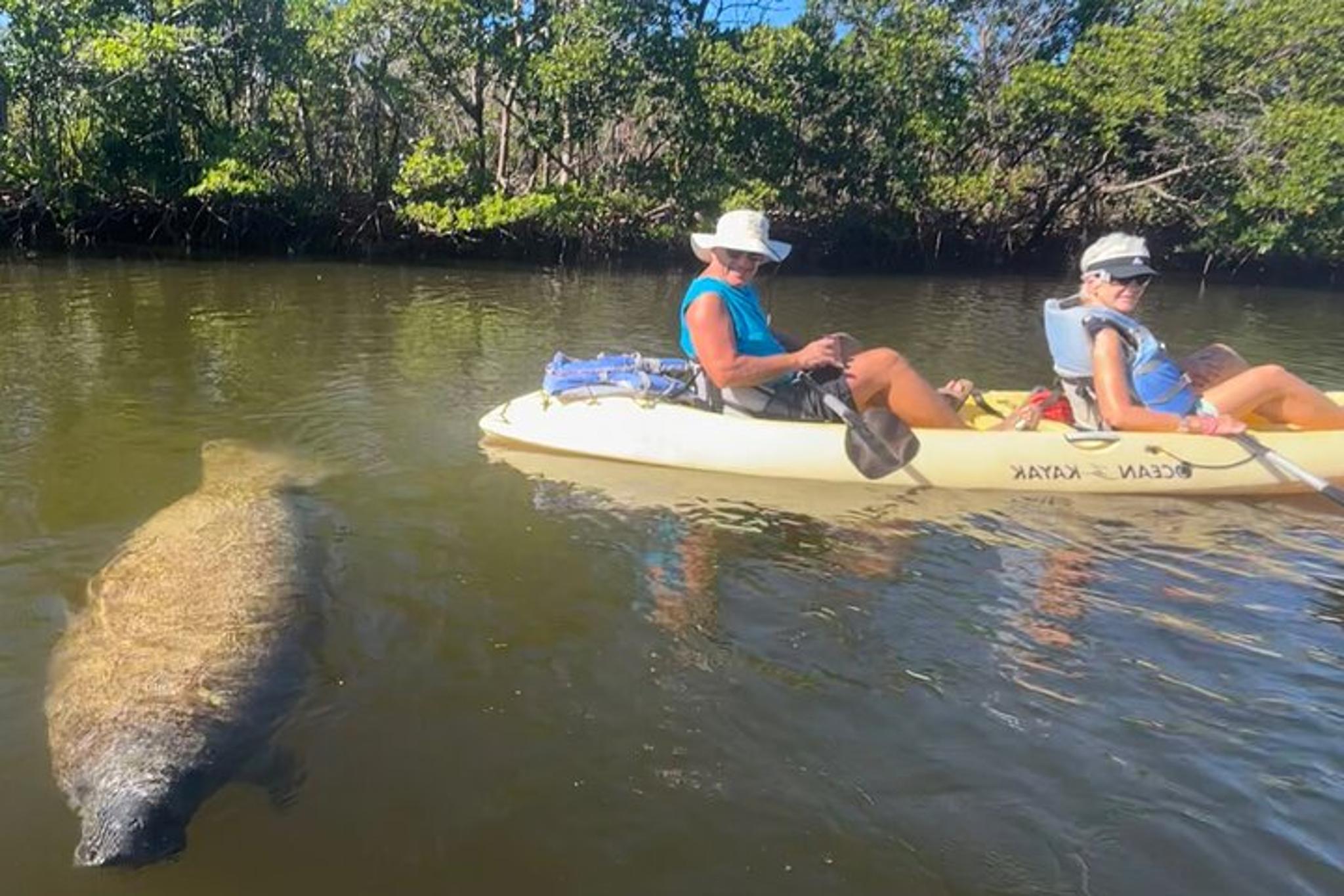 Lovers Key Eco Tour - Image 3