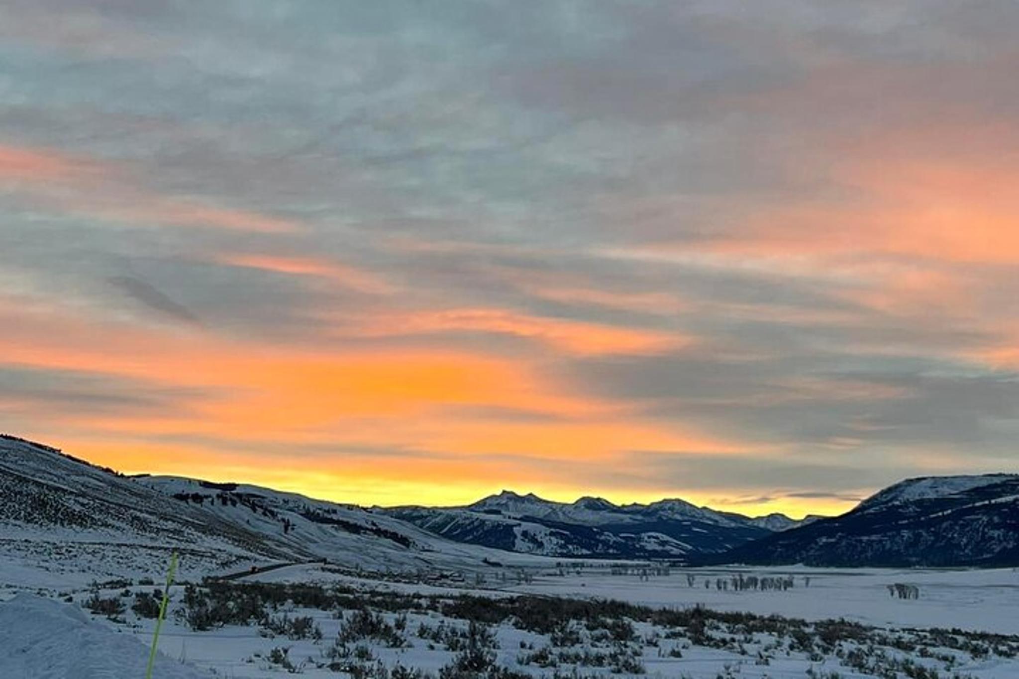Yellowstone Wildlife Encounter at Sunset