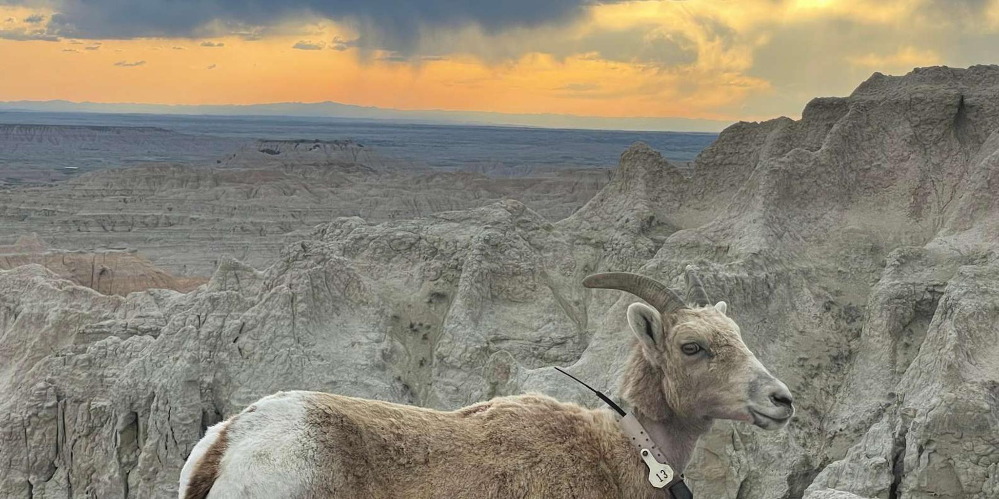 Rapid City Badlands Sunset and Night Sky Tour - Image 3