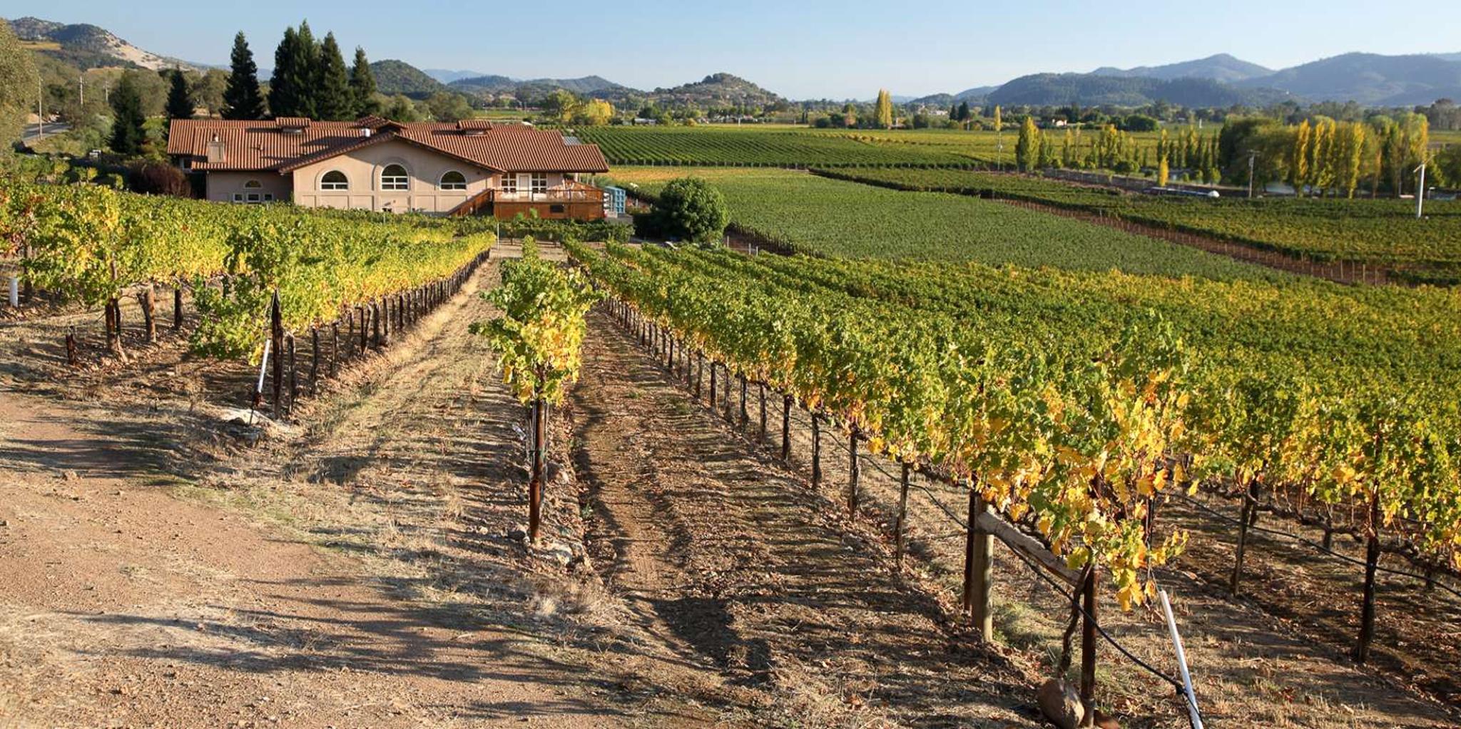 San Francisco Napa Valley Private Tour - Image 4