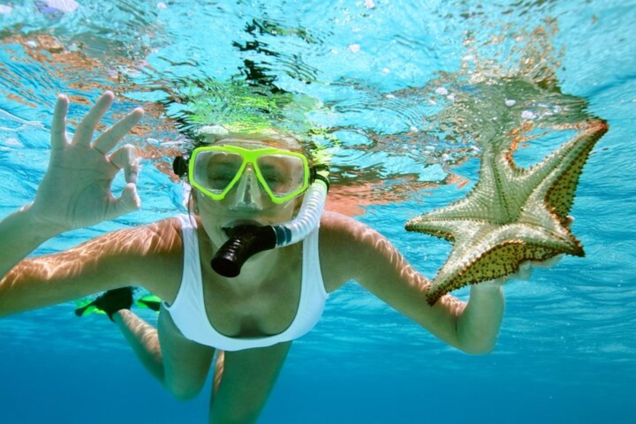 Key Largo Fish & Snorkel Tour 4 hr - Image 4