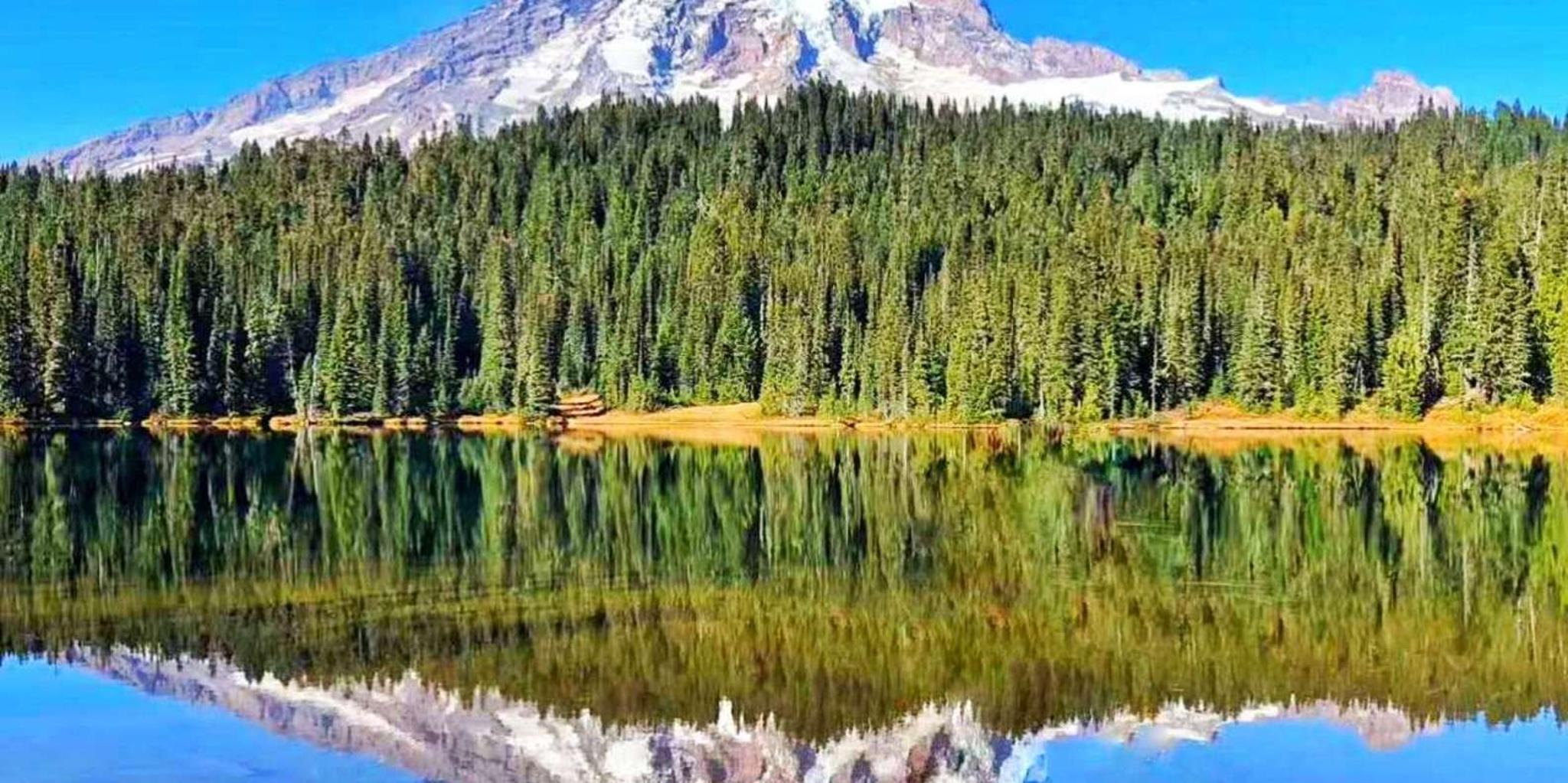 Seattle Mount Rainier National Park Day Tour