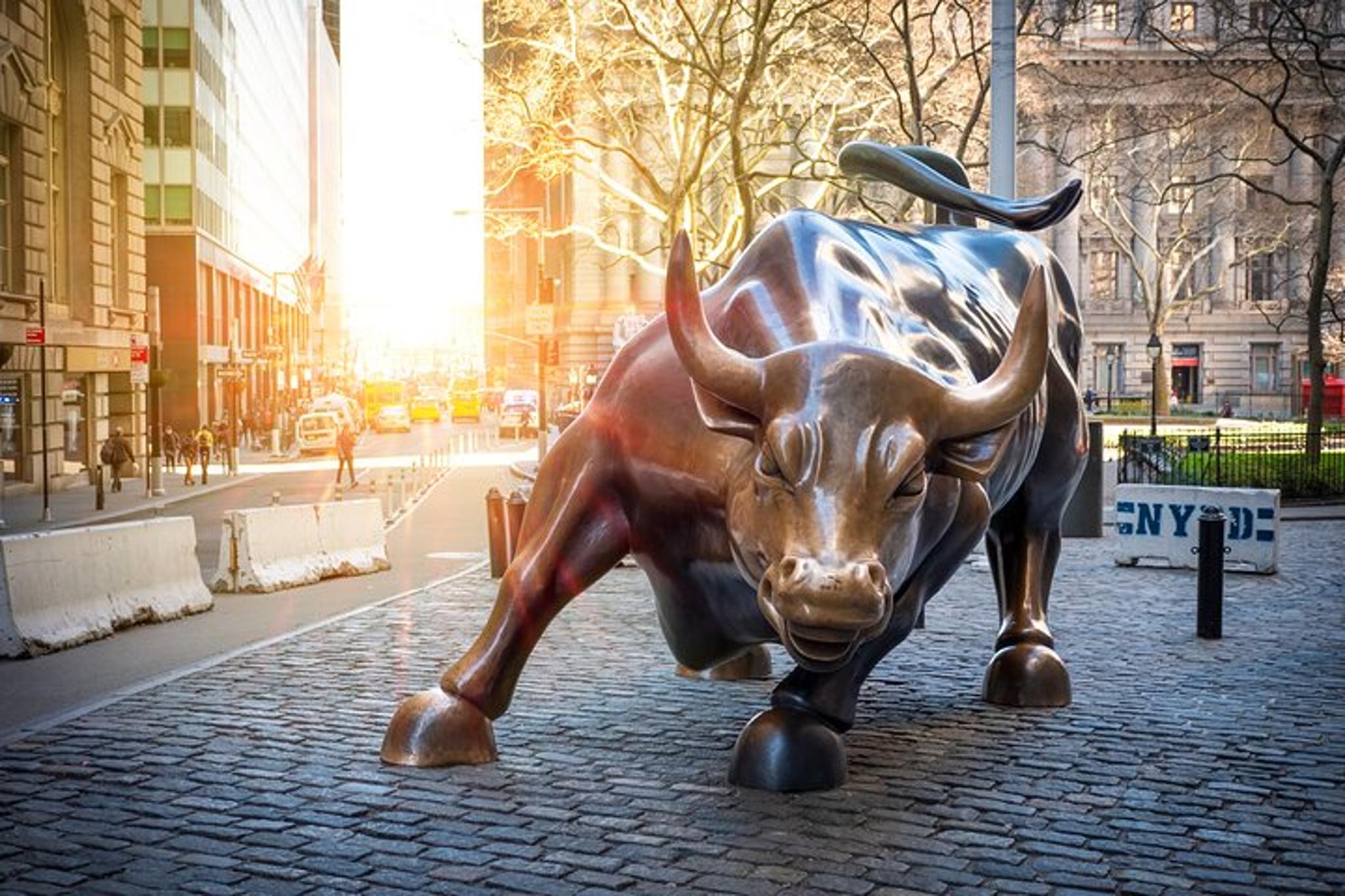 New York Hop On Hop Off Bus Tour - Image 5