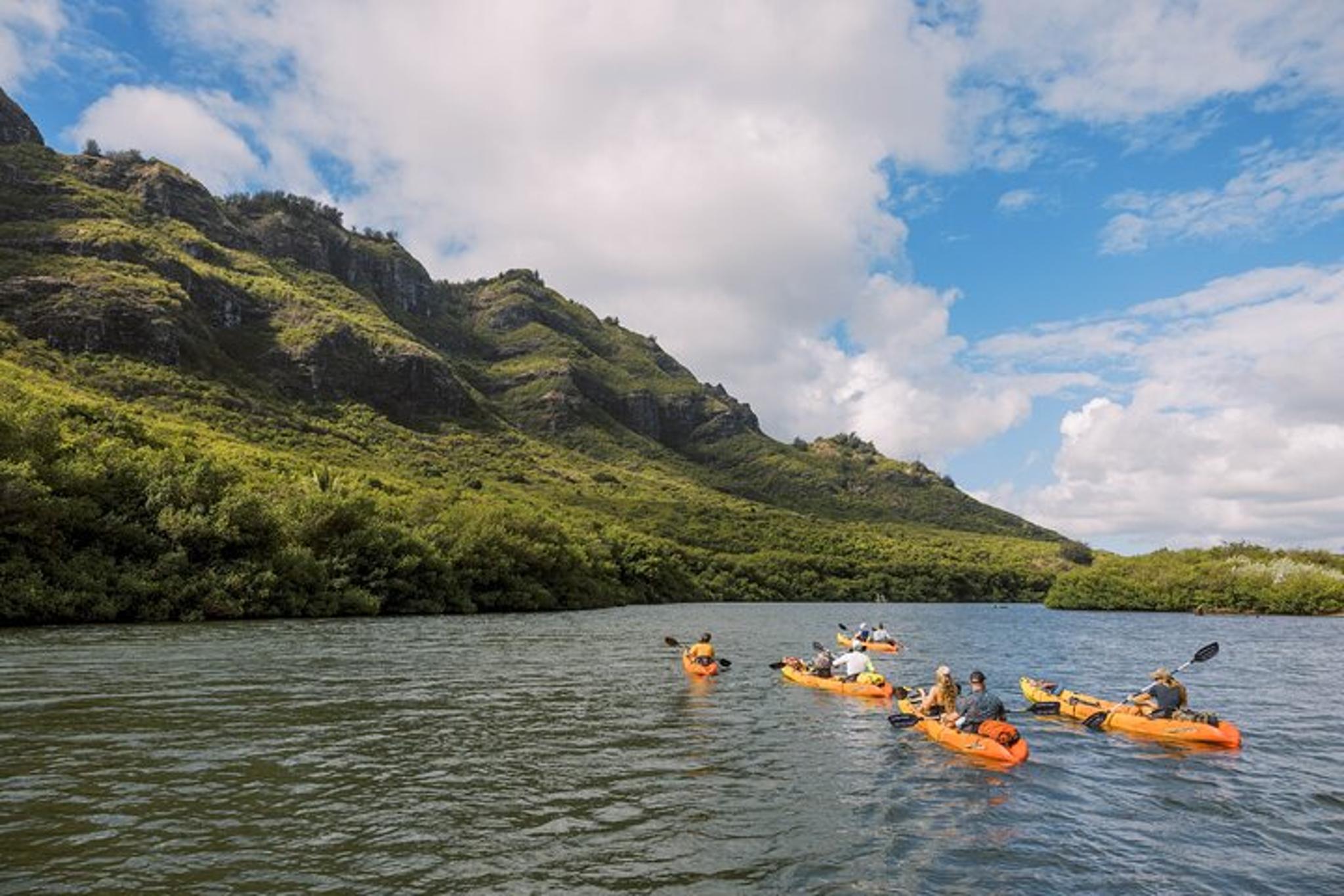 Kauai Huleia River Kayak and Hike - Image 4