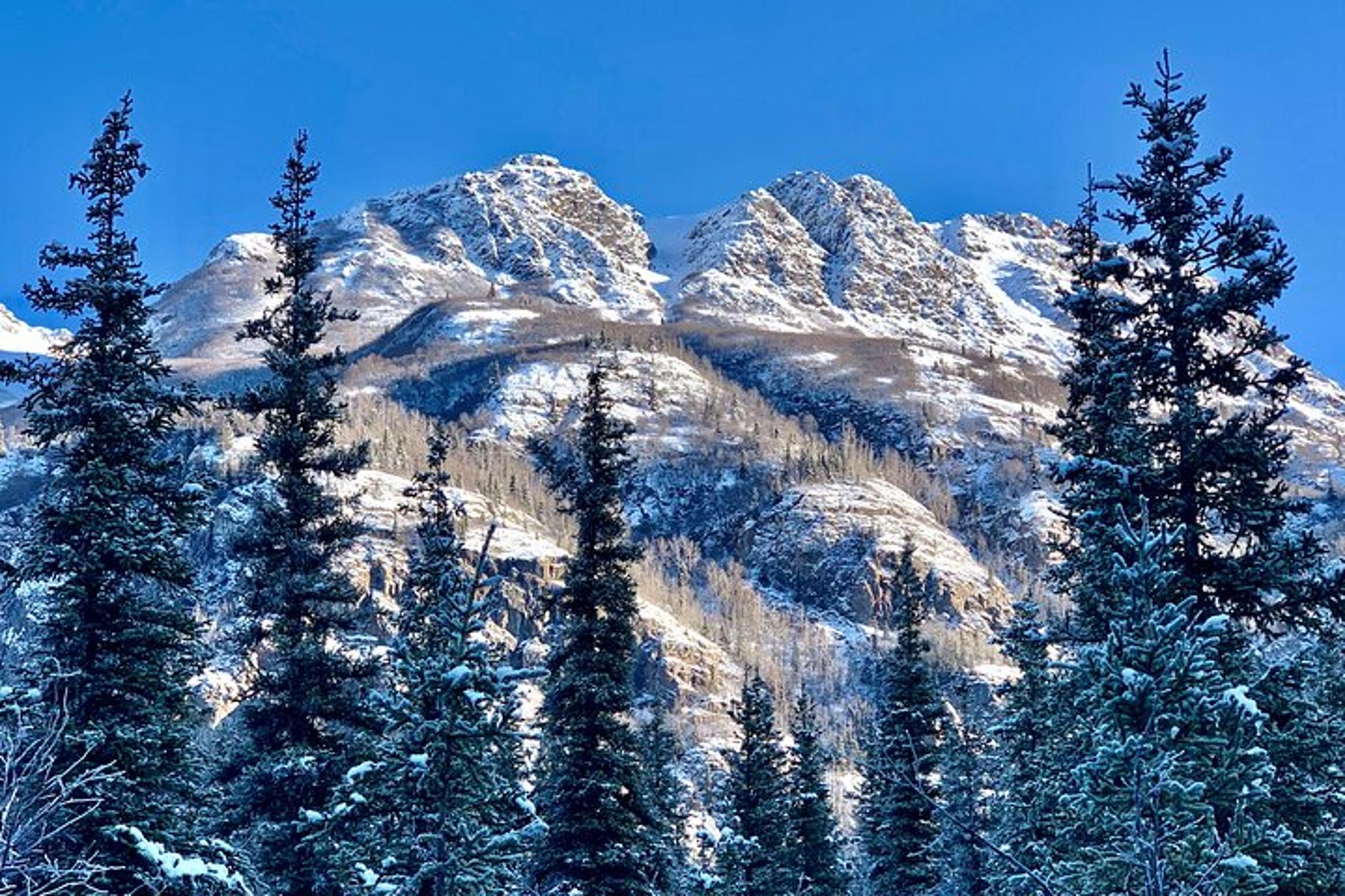 Anchorage Winter Valley and Forest Hike - Image 3