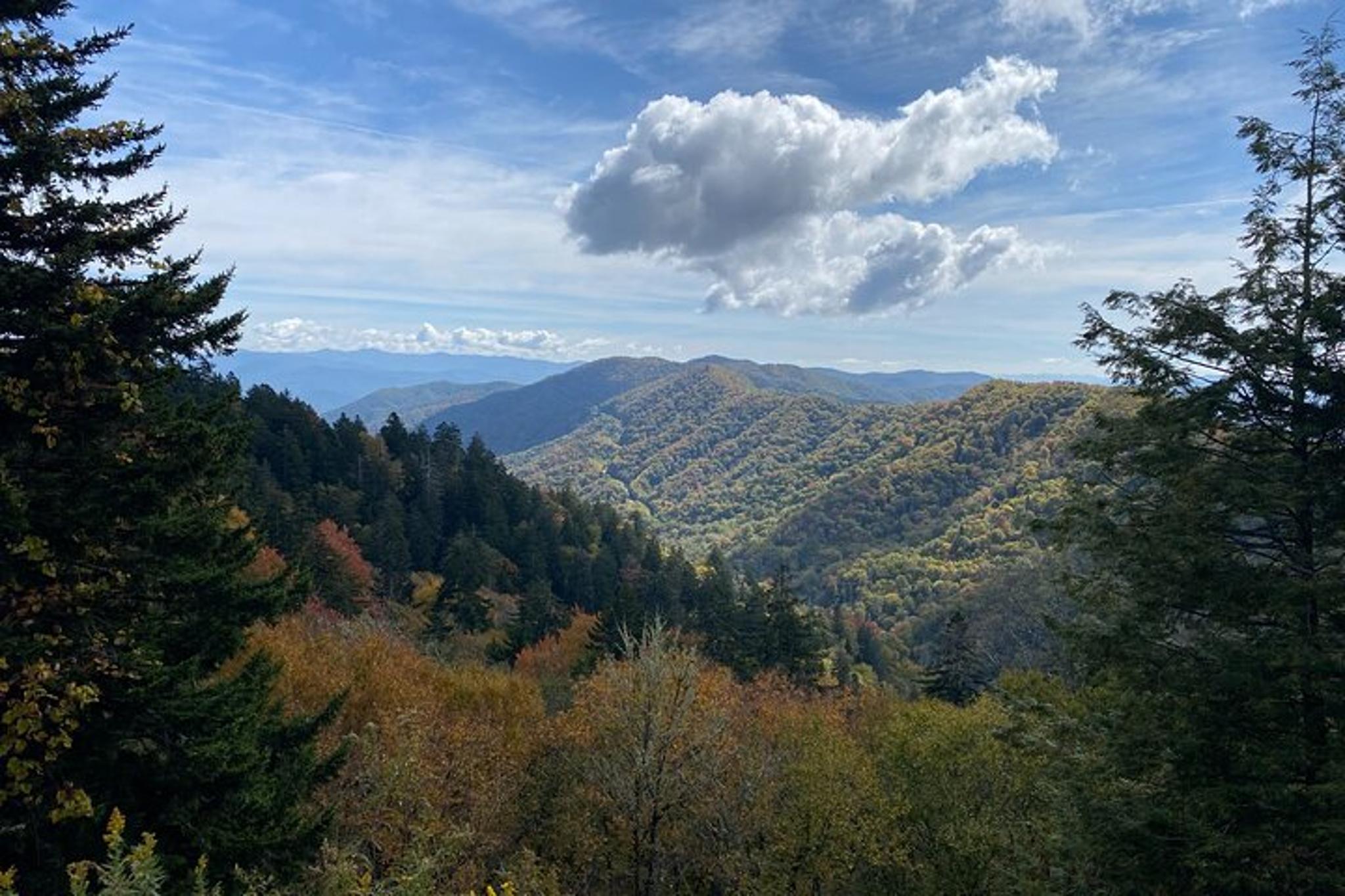 Oconaluftee Scenic Tour - Image 4