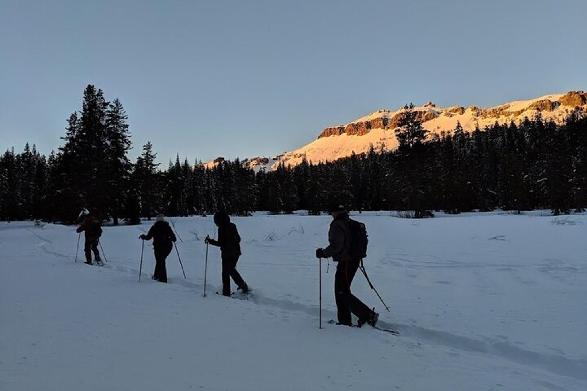 Lake Tahoe Sunset Snowshoe Trek - Image 5