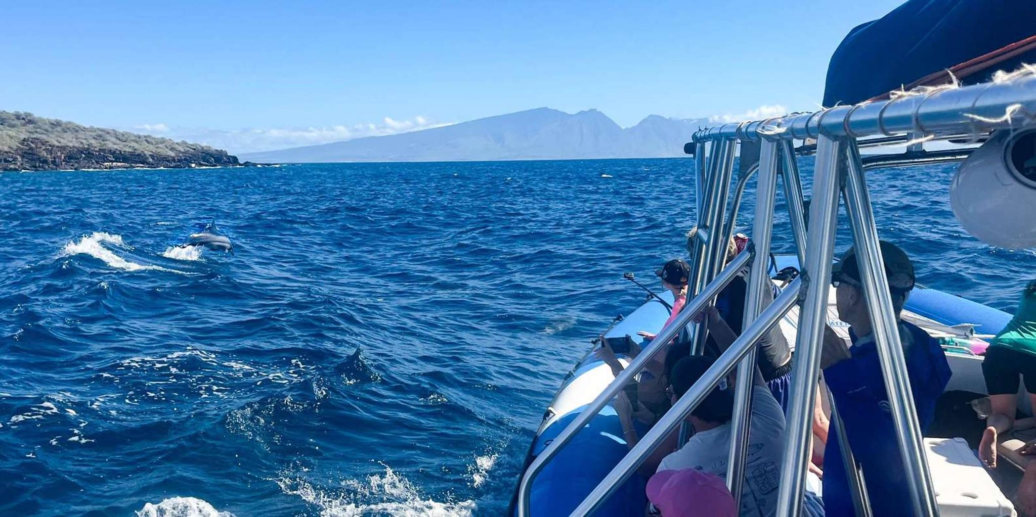 Maui Eco-Raft Snorkel and Dolphin Tour - Image 2