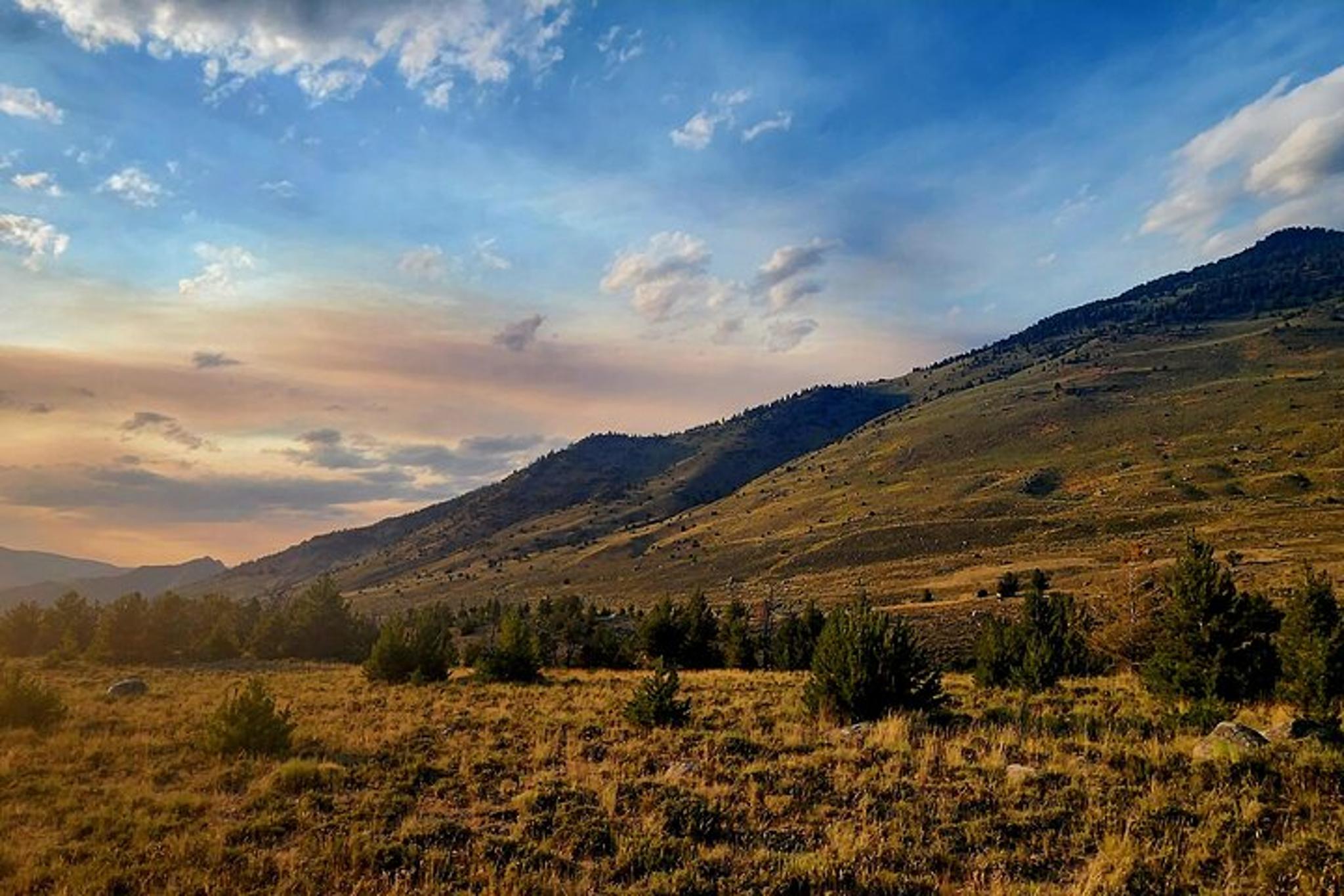 Yellowstone Winter Wildlife Tour - Image 6
