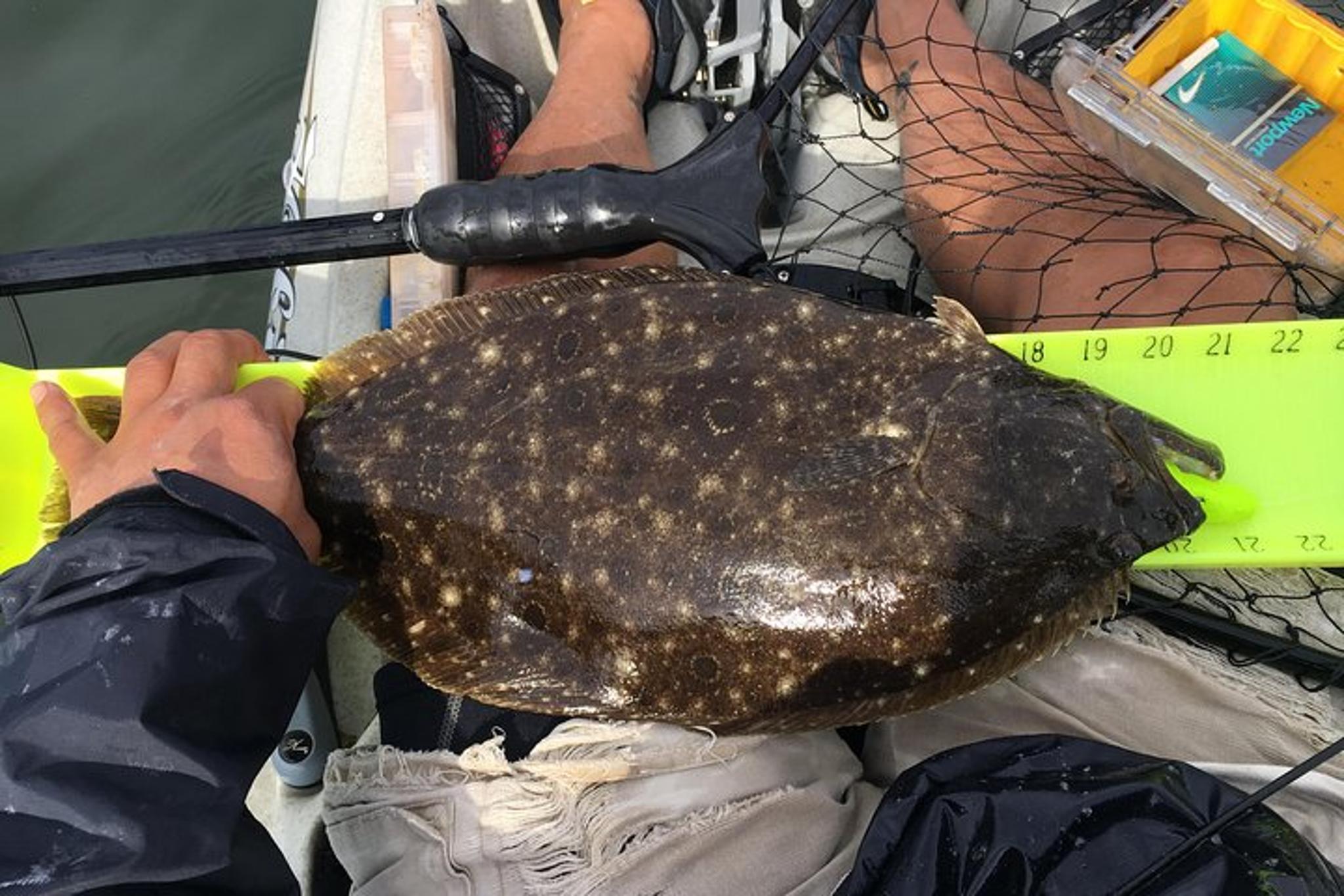 New York City Kayak Fishing Tour - Image 3