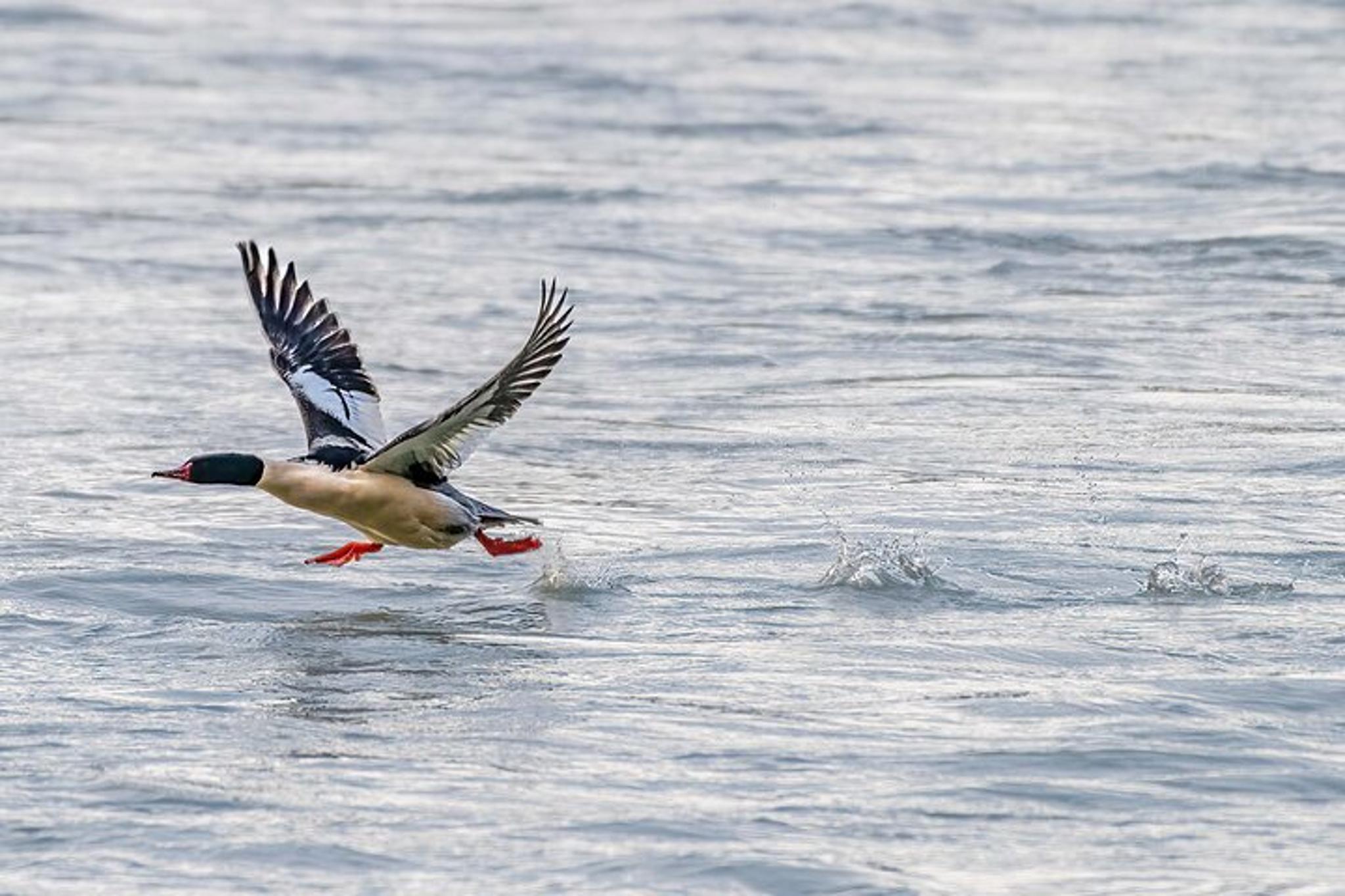 Denali Photo Workshop - Image 4