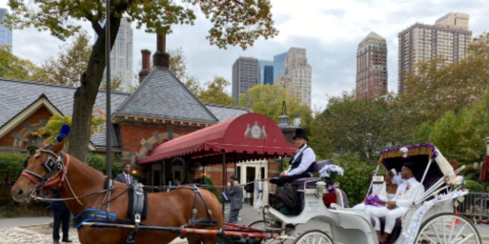 New York Central Park Horse-Drawn Carriage Ride - Image 6