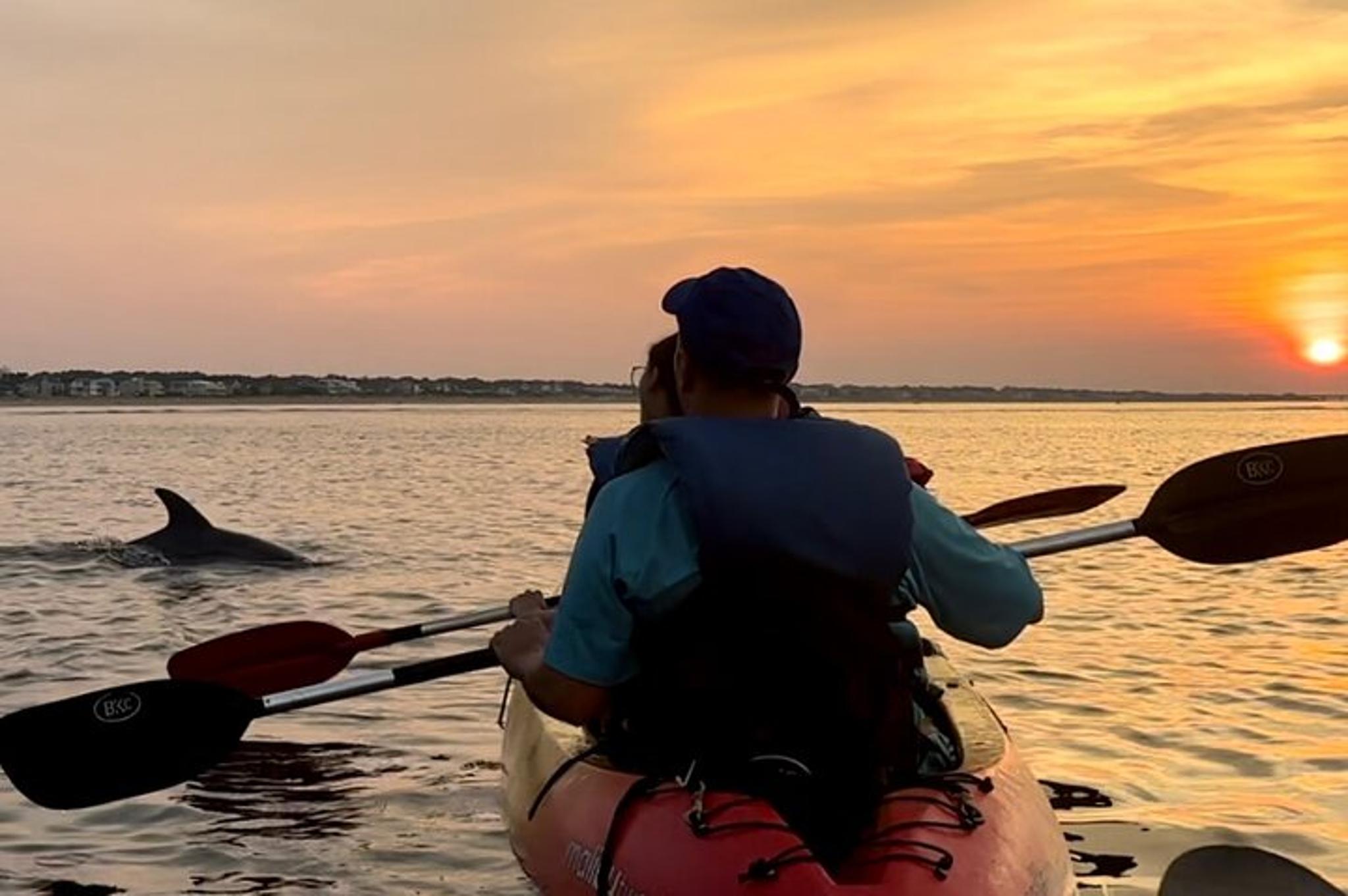 Virginia Beach Kayak Dolphin Experience - Image 3