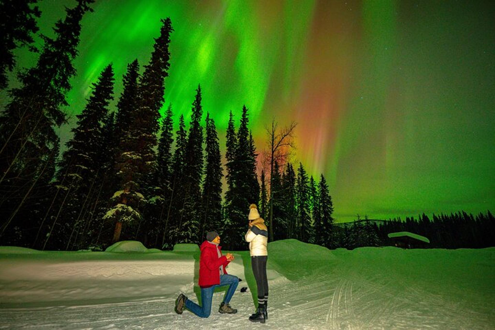 Fairbanks Northern Lights Experience - Image 6