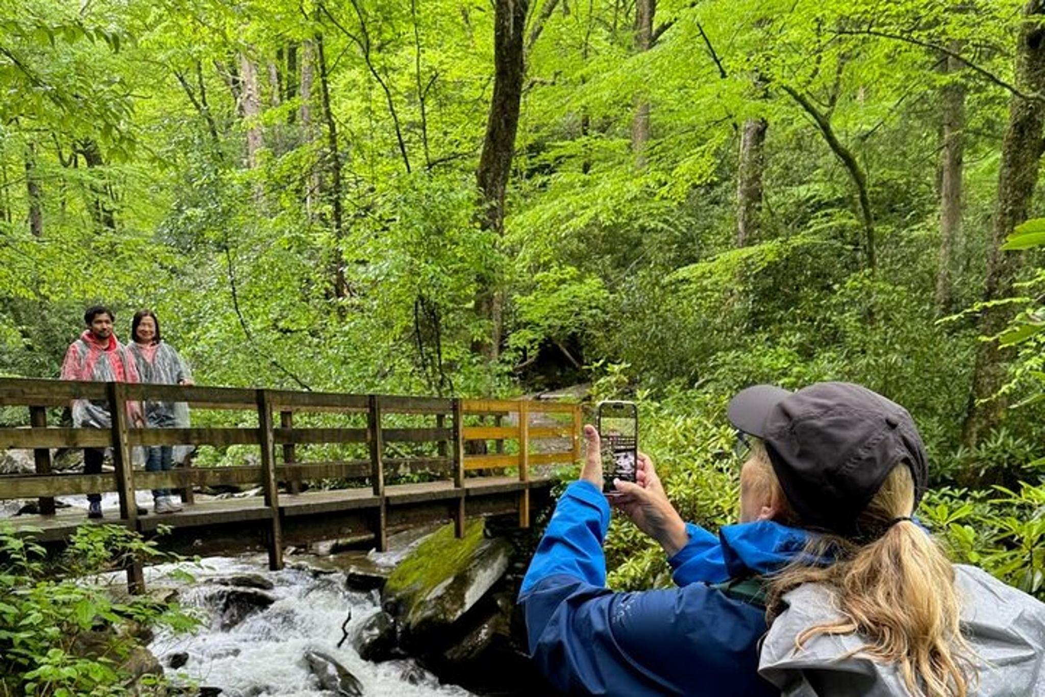 Smokies Custom Private Tour - Image 2