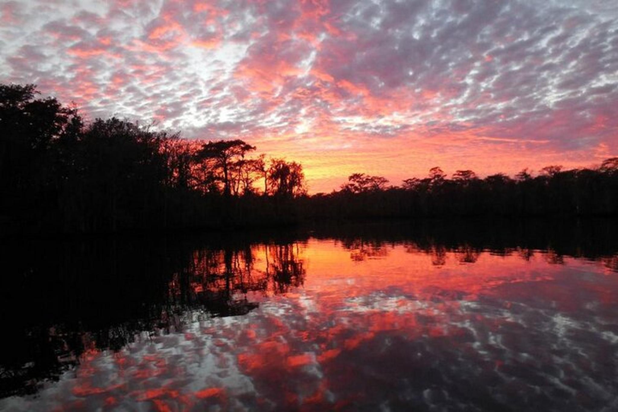 Waccamaw River Nature and Wildlife Tour 2 hr - Image 6